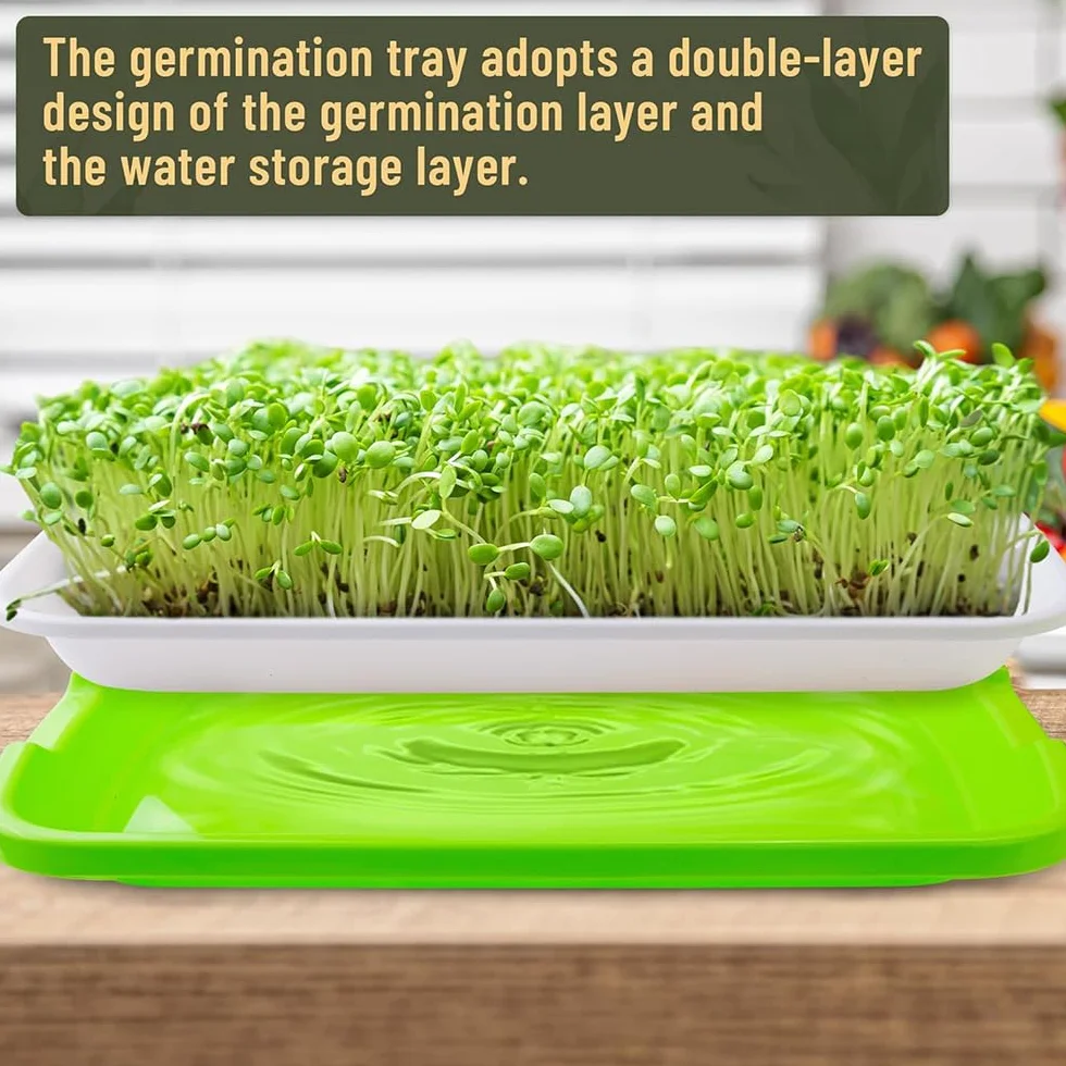 Germoir pour Graines à Germer Lot de 4 Plateau Semis 32 x 24 cm Kit Germination sans BPA