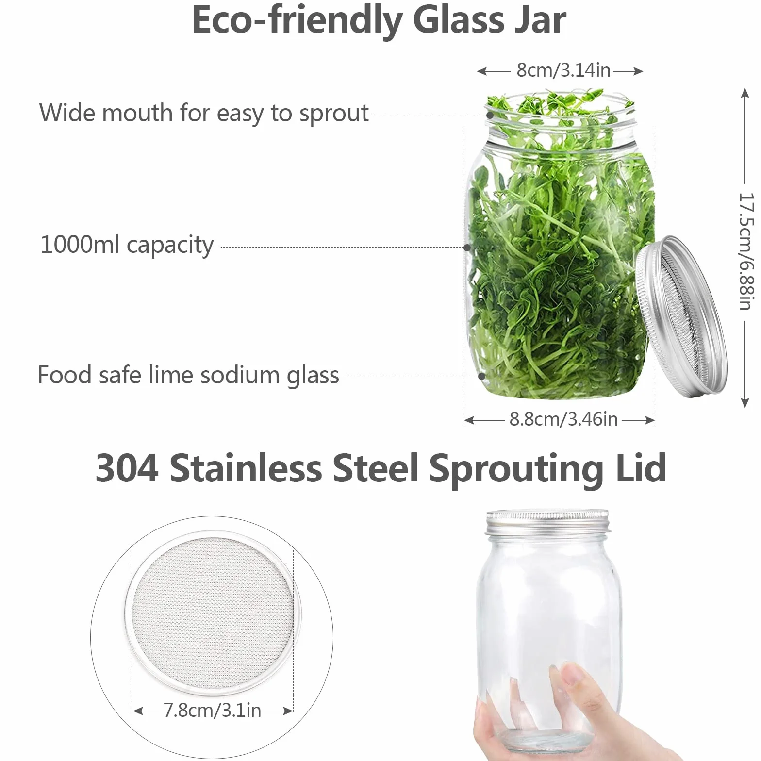 Bocaux à Germer en Verre 950 ML Lot de 2 avec Supports Réglables et Filtres en Acier Inoxydable