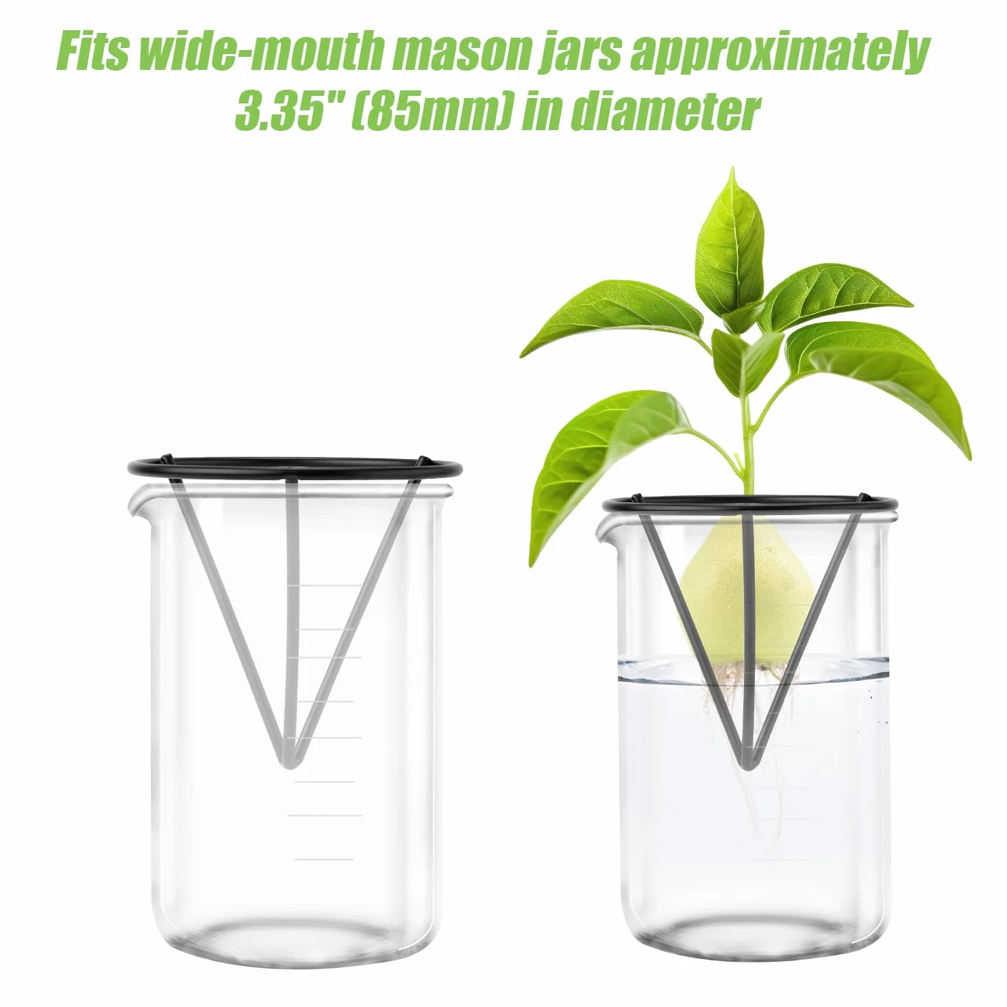 Gosknor 4pcs Démarreurs de Graines d'Avocat, Kits de Culture d'Avocatiers Triangulaires en Métal Support de Germination