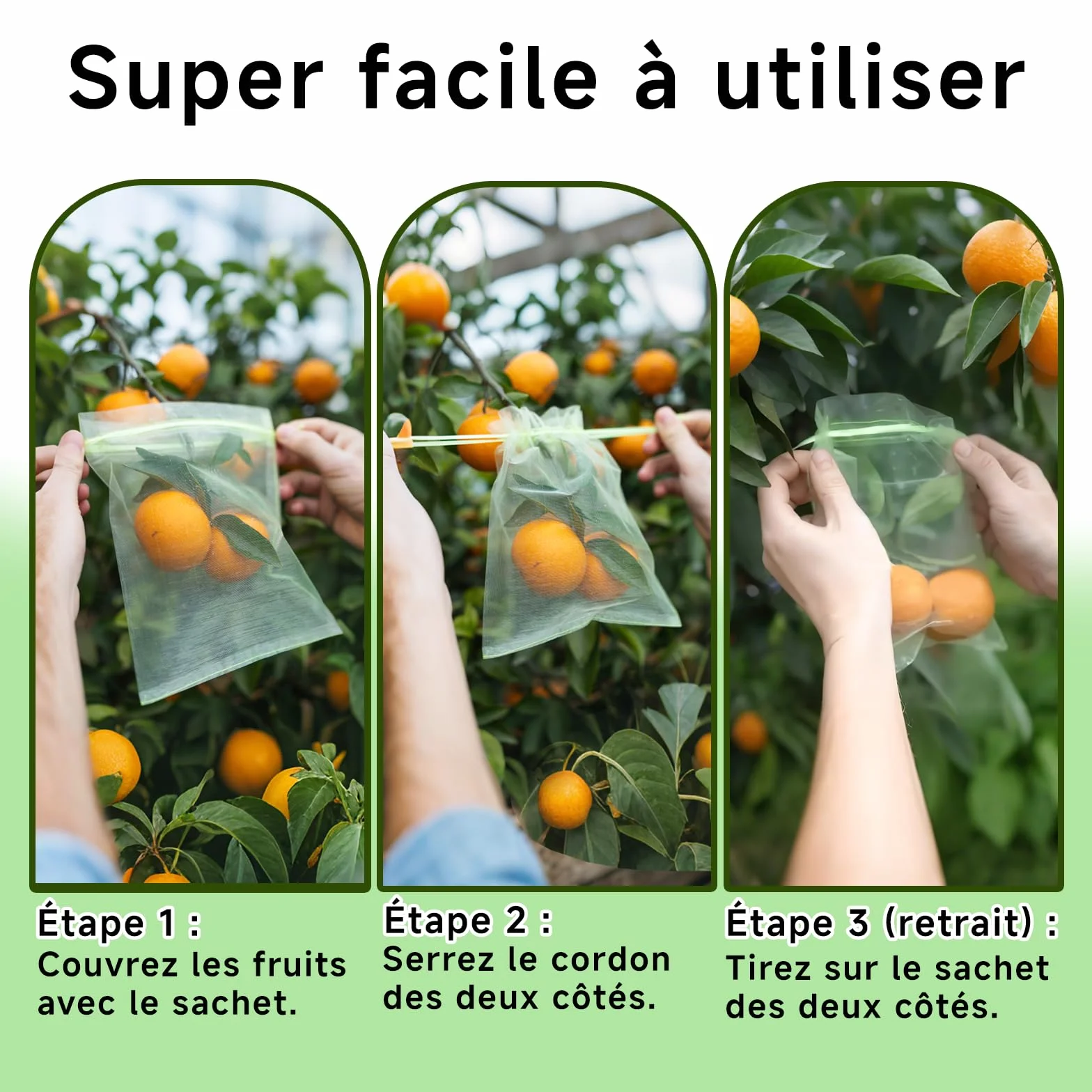 Sacs de Protection pour Fruits en Organza Vert 15x20 cm Lot de 50