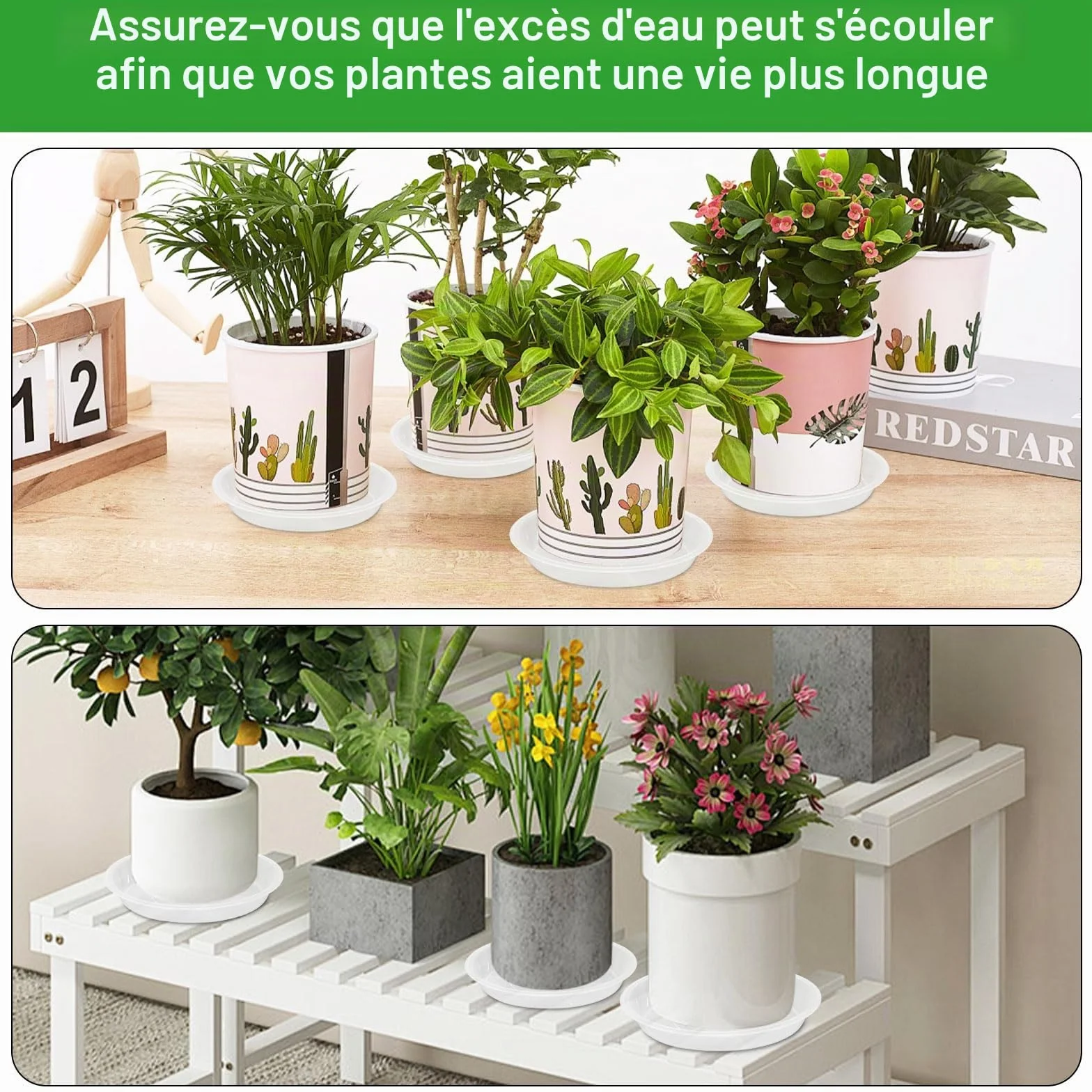 16 Pièces Coupelle Pot de Fleur Soucoupe Plastique Transparent avec Étiquettes pour Plantes Intérieur Extérieur