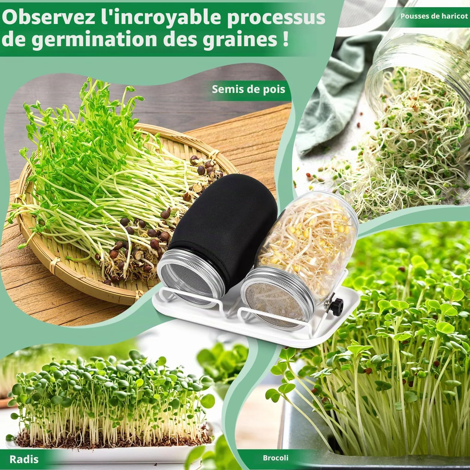 Bocal de Germination 2 x 1000ml Germoir en Verre avec Couvercle Inox et Support