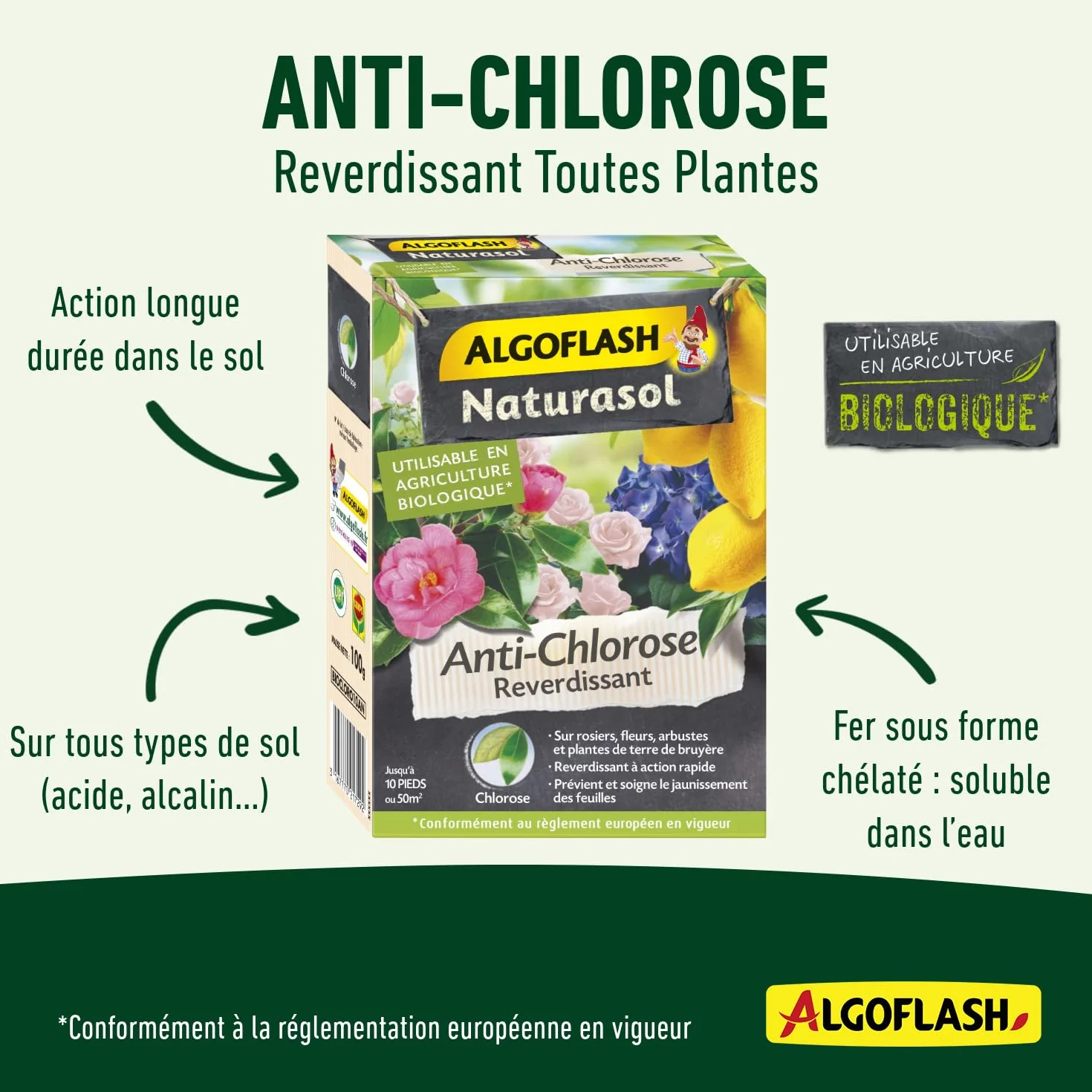 Algoflash NATURASOL Anti-Chlorose Reverdissant Toutes Plantes 100 g