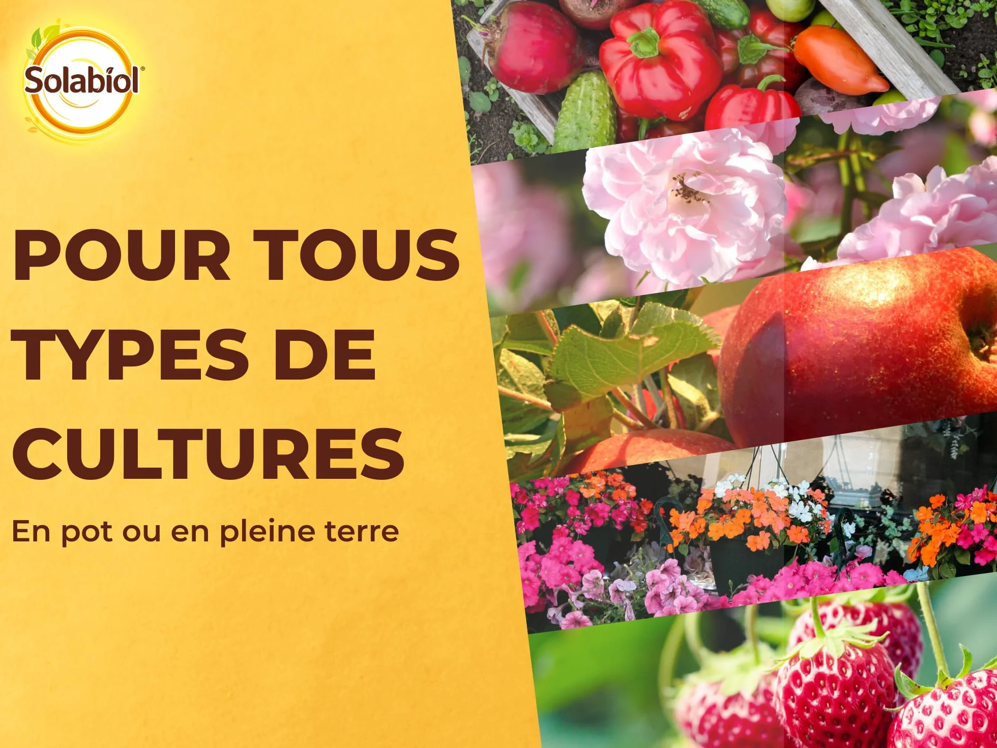 SOLABIOL Engrais Complet Liquide Universel 1L - Jusqu'à 100L Solution - Tous Types Cultures Agriculture Biologique