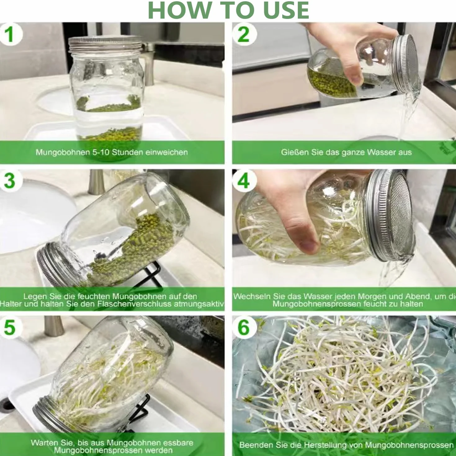 Bocaux à germer 1000 ml en verre avec couvercle inoxydable 304 et support pour germination alfalfa brocoli haricots mungo