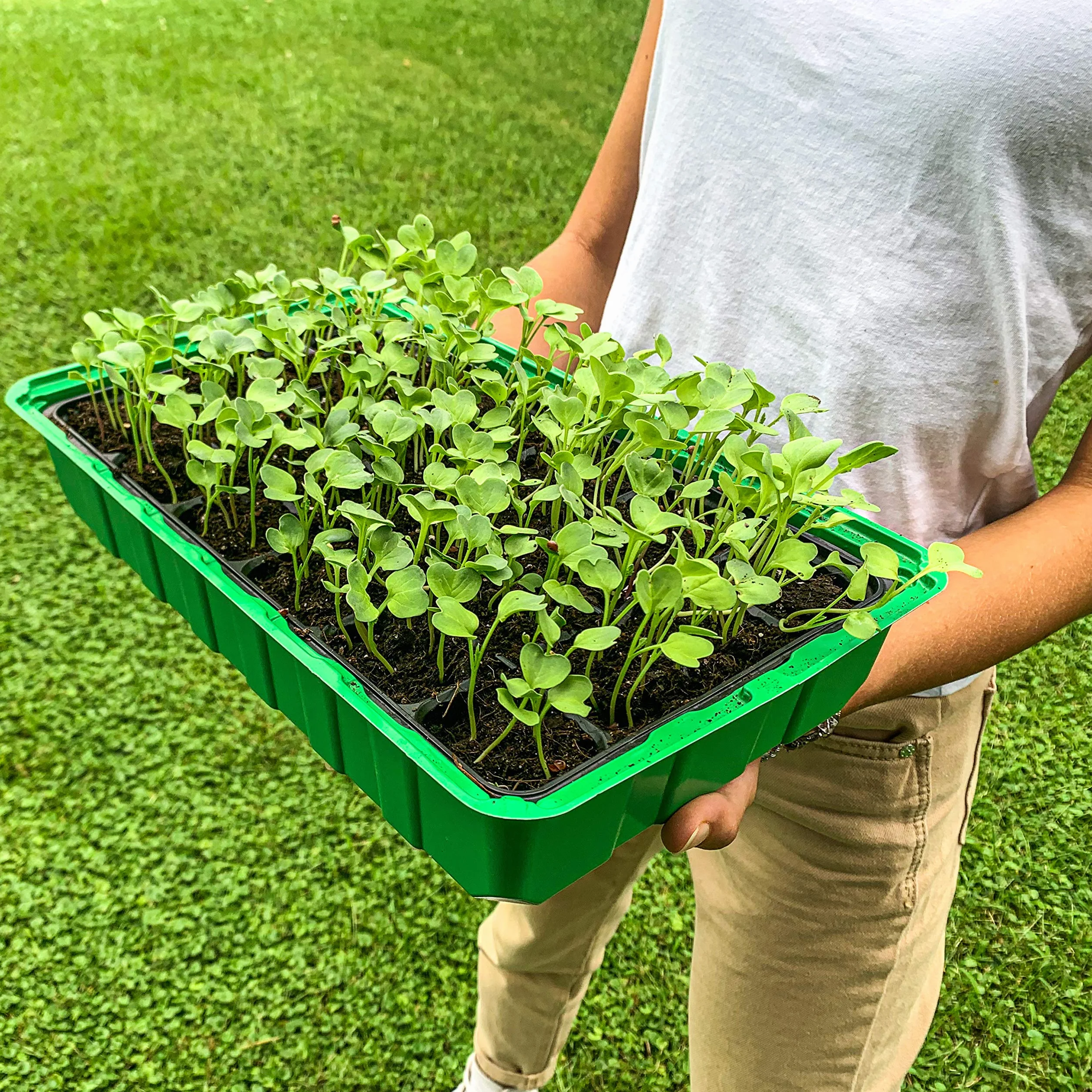 Bac à semis Serre pour Potager Extérieur/Intérieur avec 3 Plateaux, 3 Récipients Plastique Transparent et 3 Plateaux de Serre pour 24 Pots - Mini Serre
