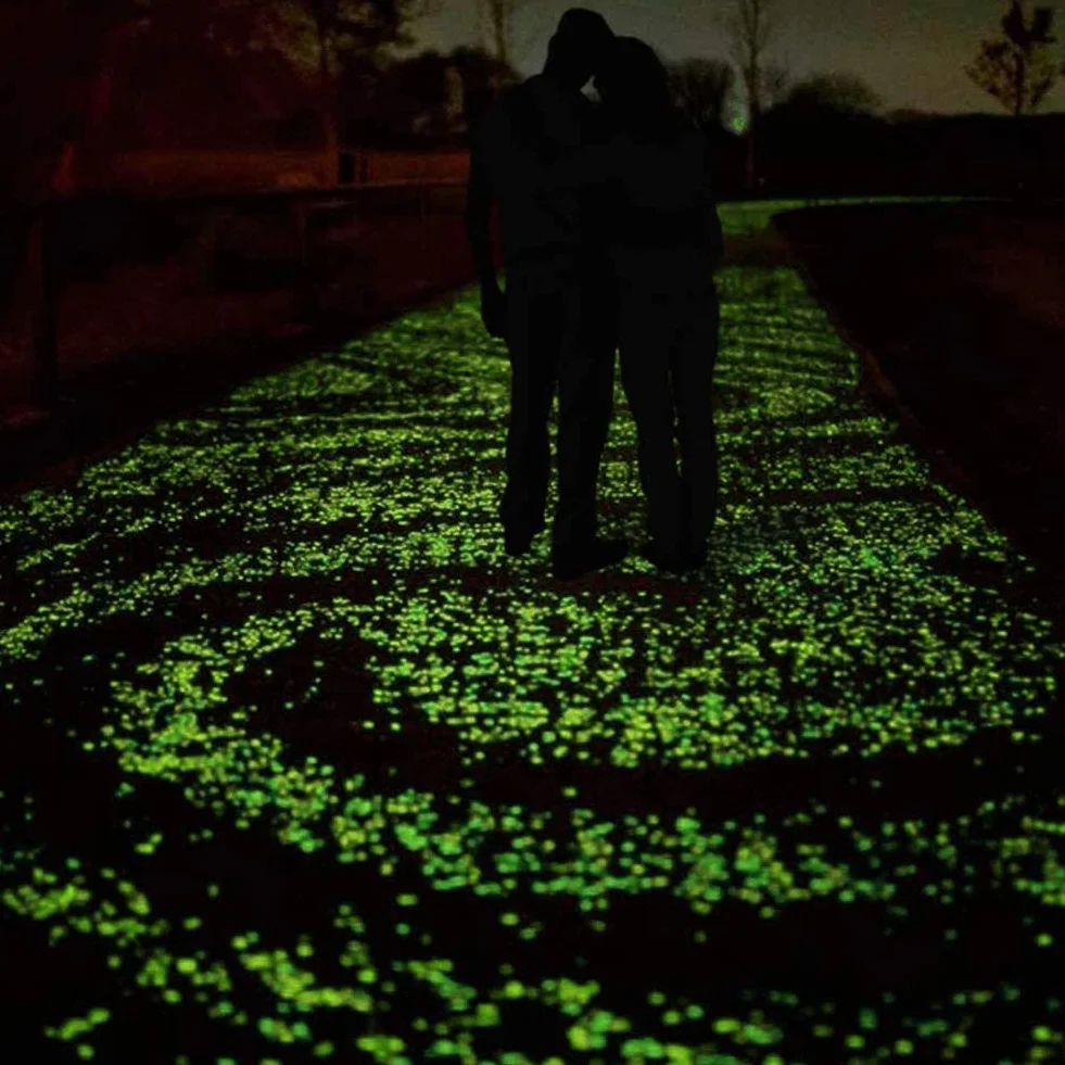 Lot de 50 galets phosphorescents jaunes pour jardin SPORTARC