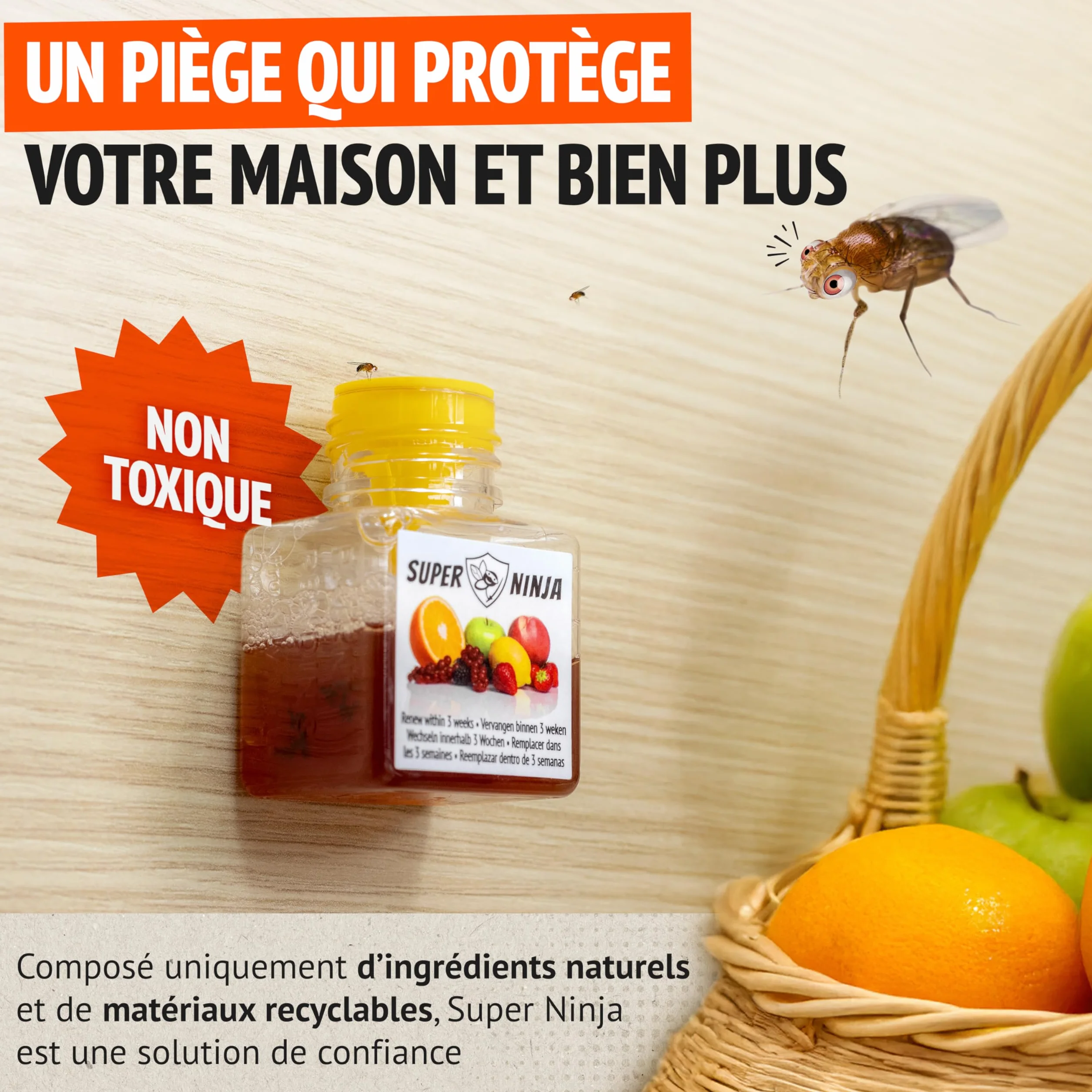 Pièges Anti Moucherons d'Intérieur Lot de 2 – Attrape Moucheron Cuisine Maison, 3 Semaines d’Action, Sûr Enfants Animaux
