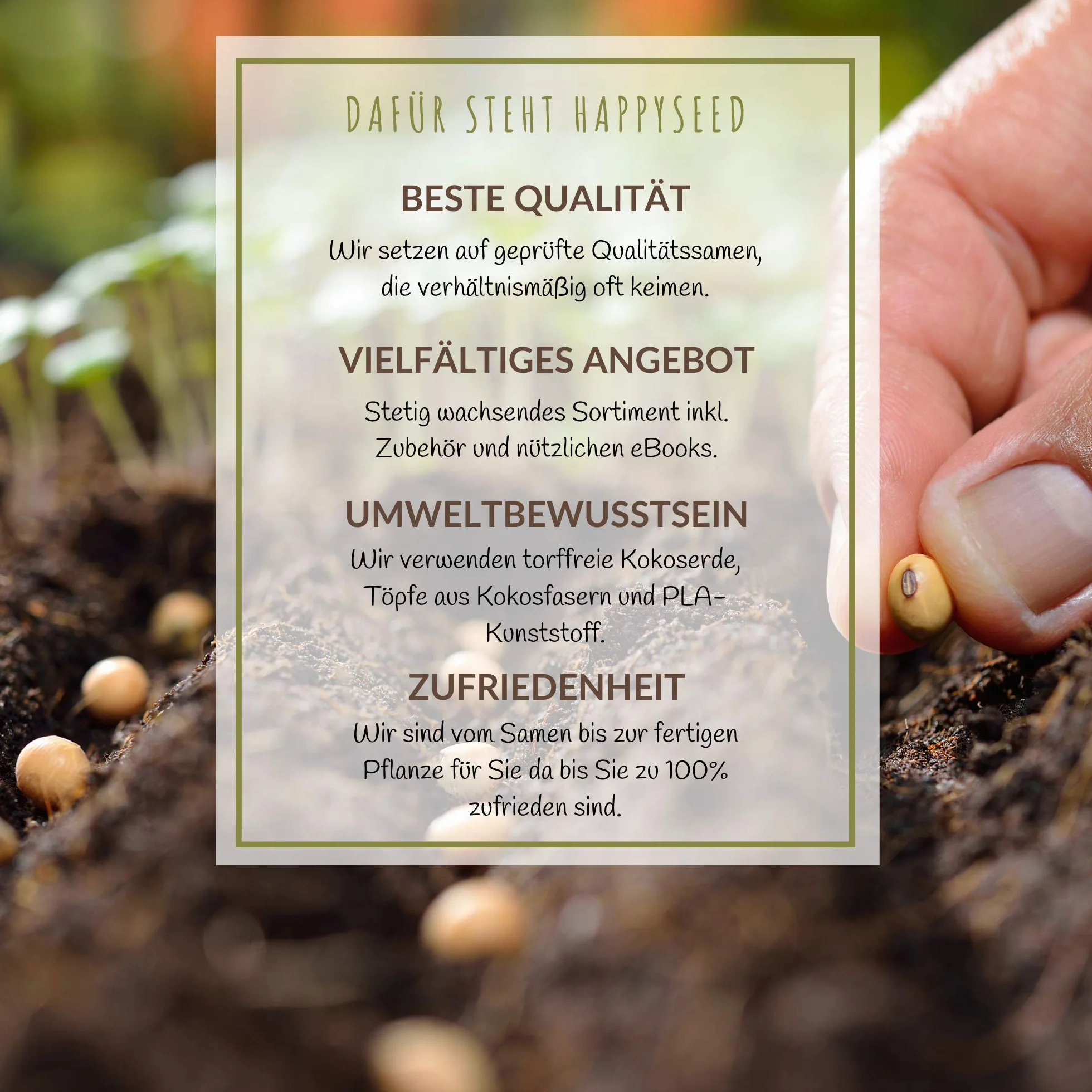 Graines exotiques de cactus taux germination élevé Lot plantes succulentes 1x Madagascar-Palme