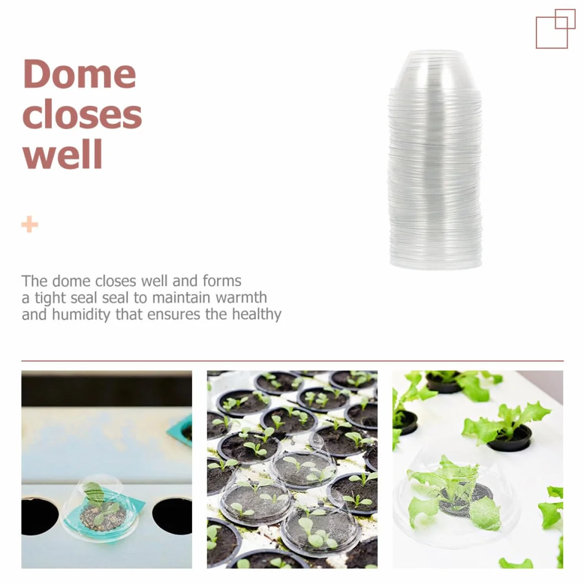Cloches à Plantes en Plastique Transparentes 100 Pièces pour Culture Hydroponique, Dômes d'Humidité Protection Jardin Extérieur Gel