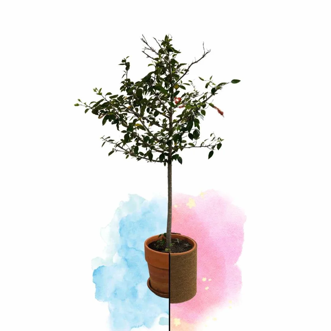 Florade® Tapis coco protection hivernale plantes en pot 100% biologique différentes tailles