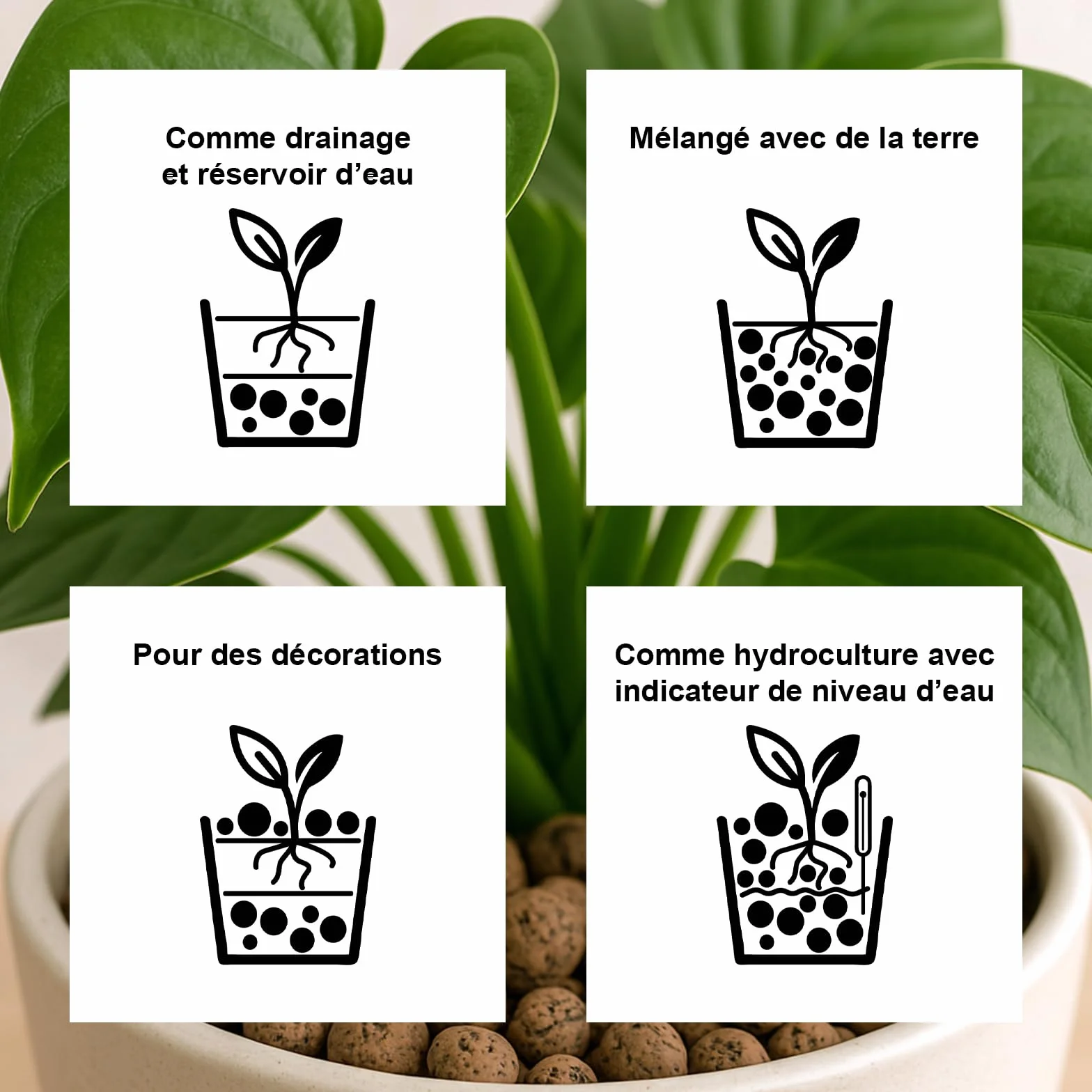 Argile expansée 50L granulés 4–16 mm pour Jardin Drainage Culture hydroponique