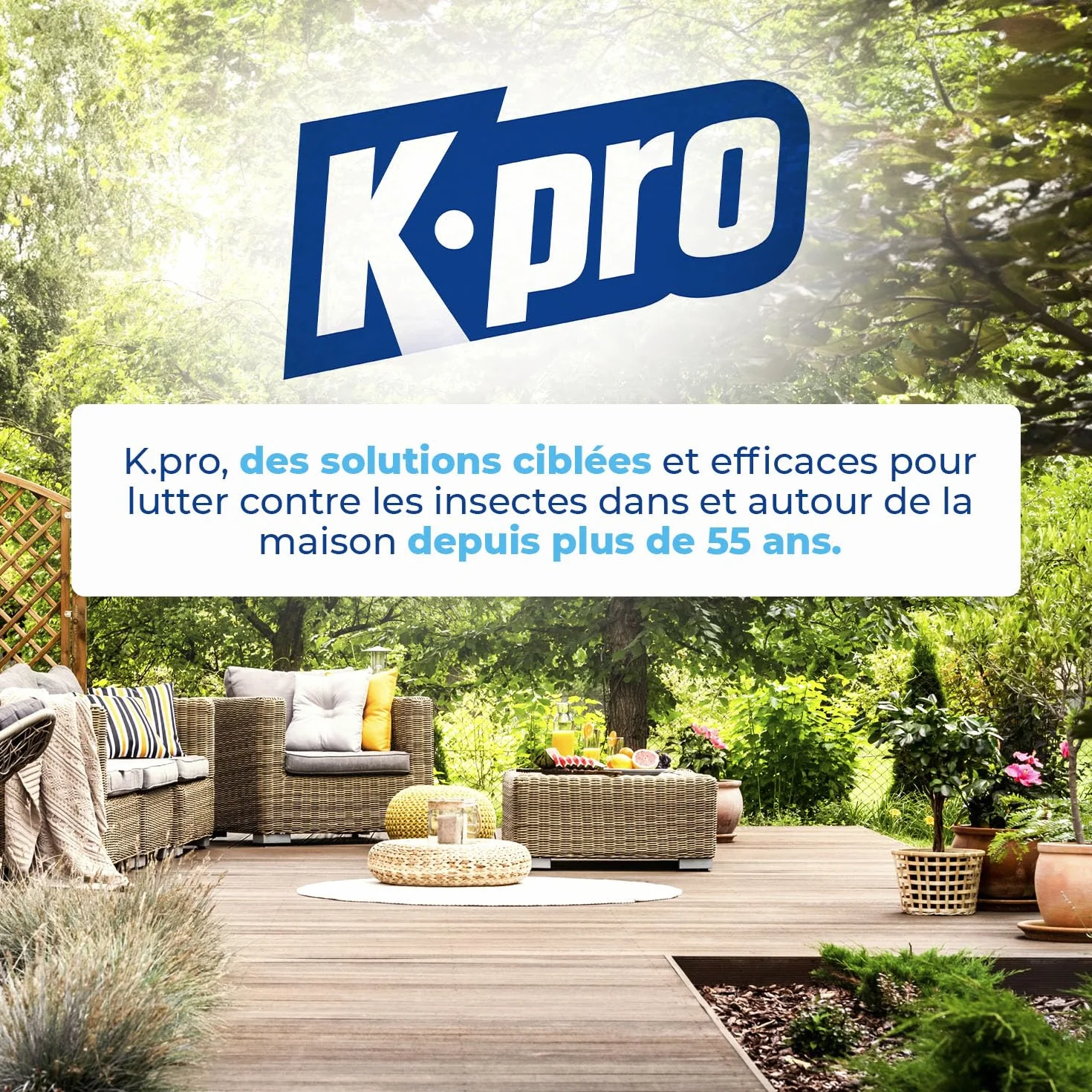 Terre de Diatomée Punaises de Lit Poudre 100g Naturel Élimine Fourmis Cafards Blattes Puces