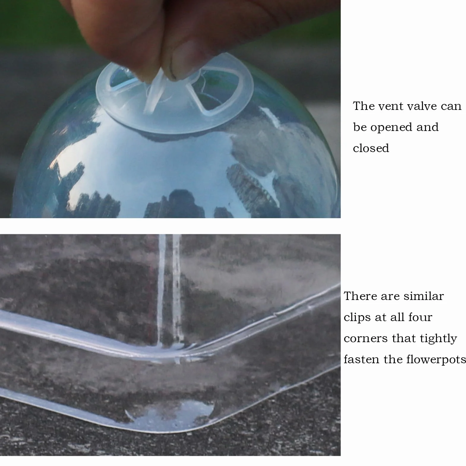 Cloche Végétale Transparente 10x Couvercle d'Isolation Thermique Mini Serre de Protection