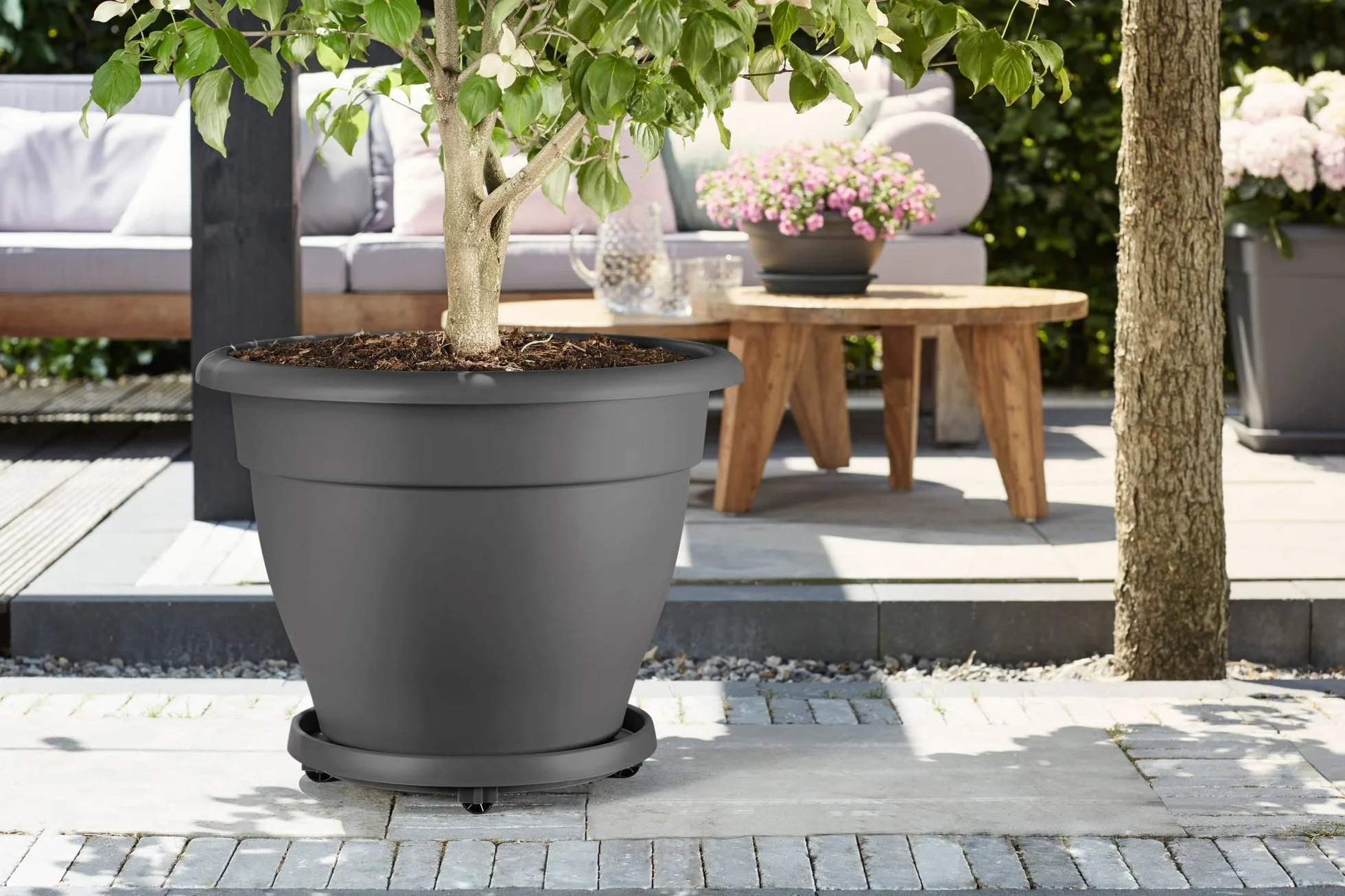 Elho Planttaxi Universel Soucoupe avec Roues, Anthracite, 40 cm