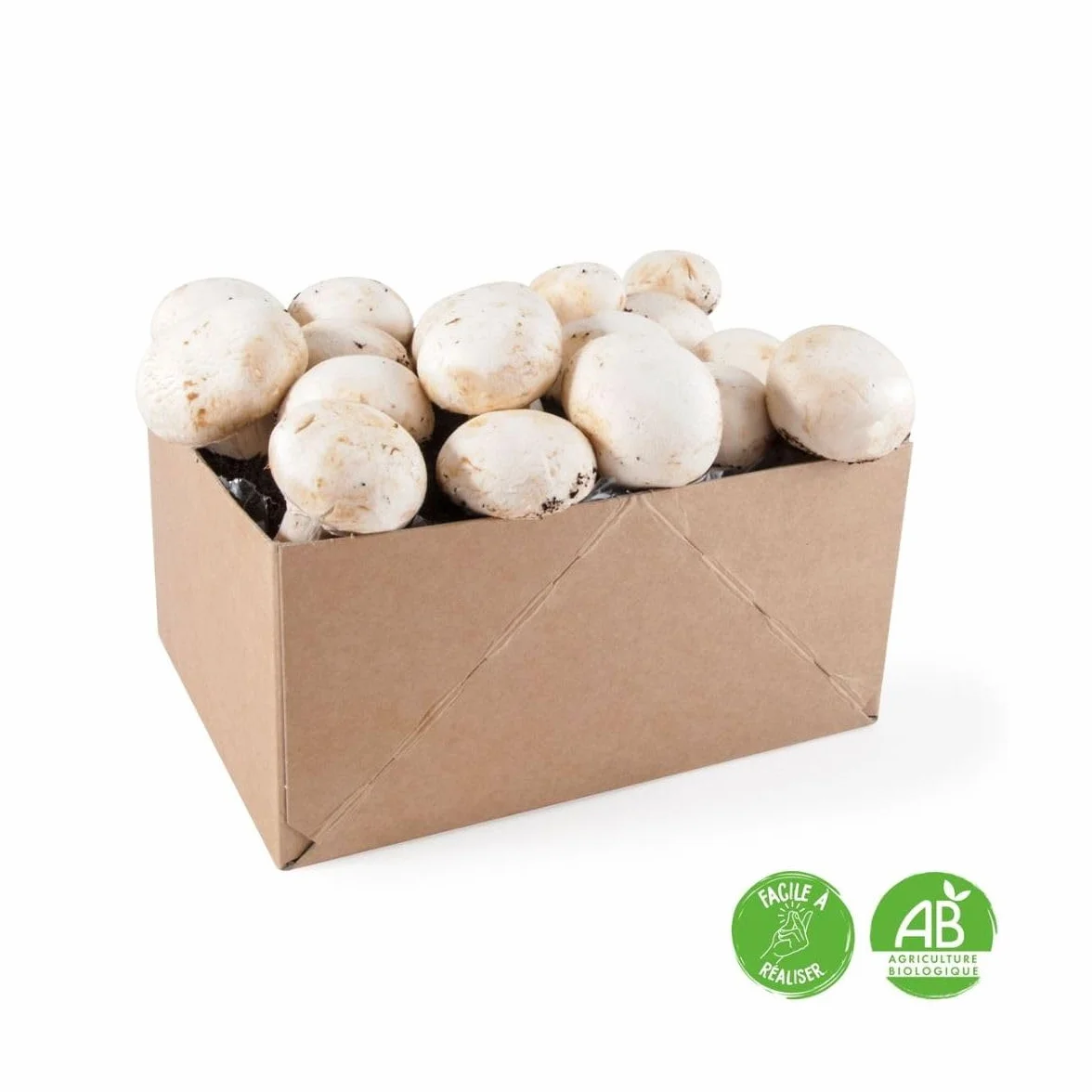 Kit de culture Champignons de Paris Blanc 4L Radis et Capucine