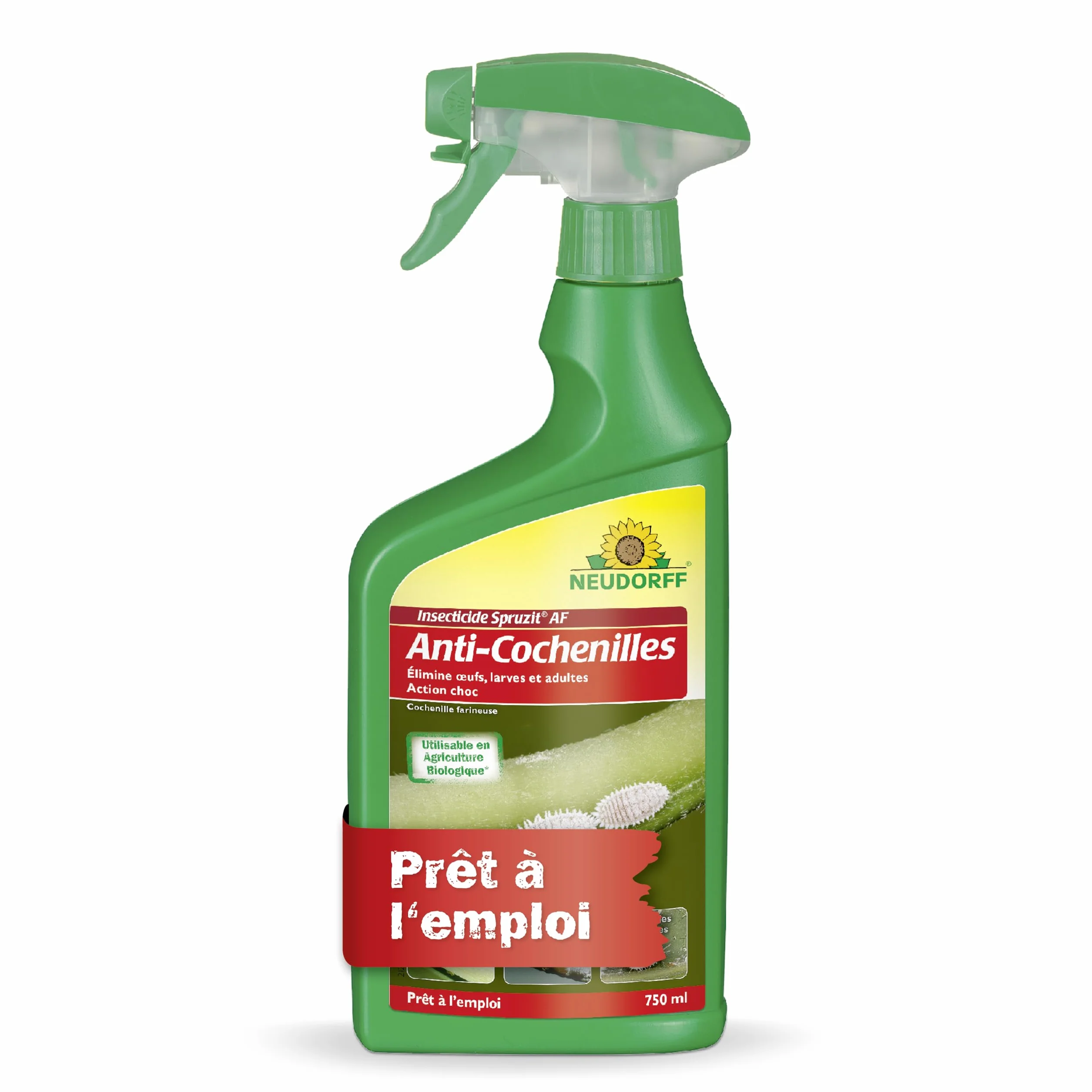 Neudorff Insecticide Spruzit Anti cochenille AF Spray 750 ml – Traite les cochenilles et pucerons sur plantes ornementales et fleurs