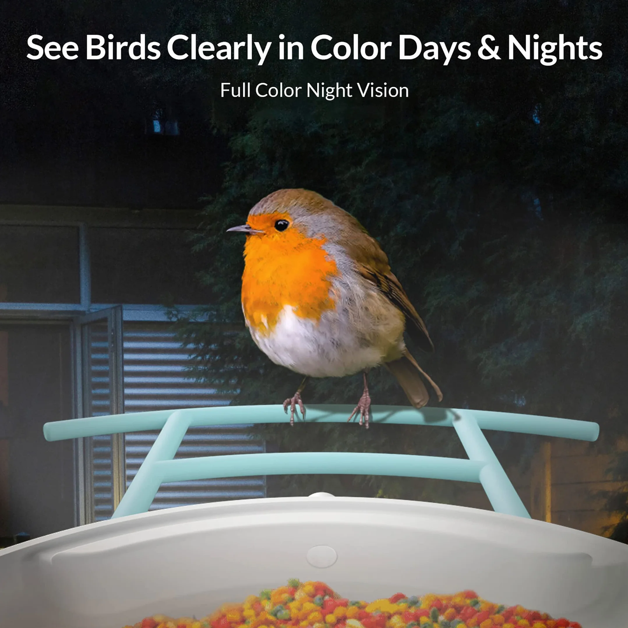 NETVUE Mangeoire Oiseaux avec Camera IA, Observation et Identification des Oiseaux Via APP, Caméra Jardins WiFi à Batterie & Panneau Solaire