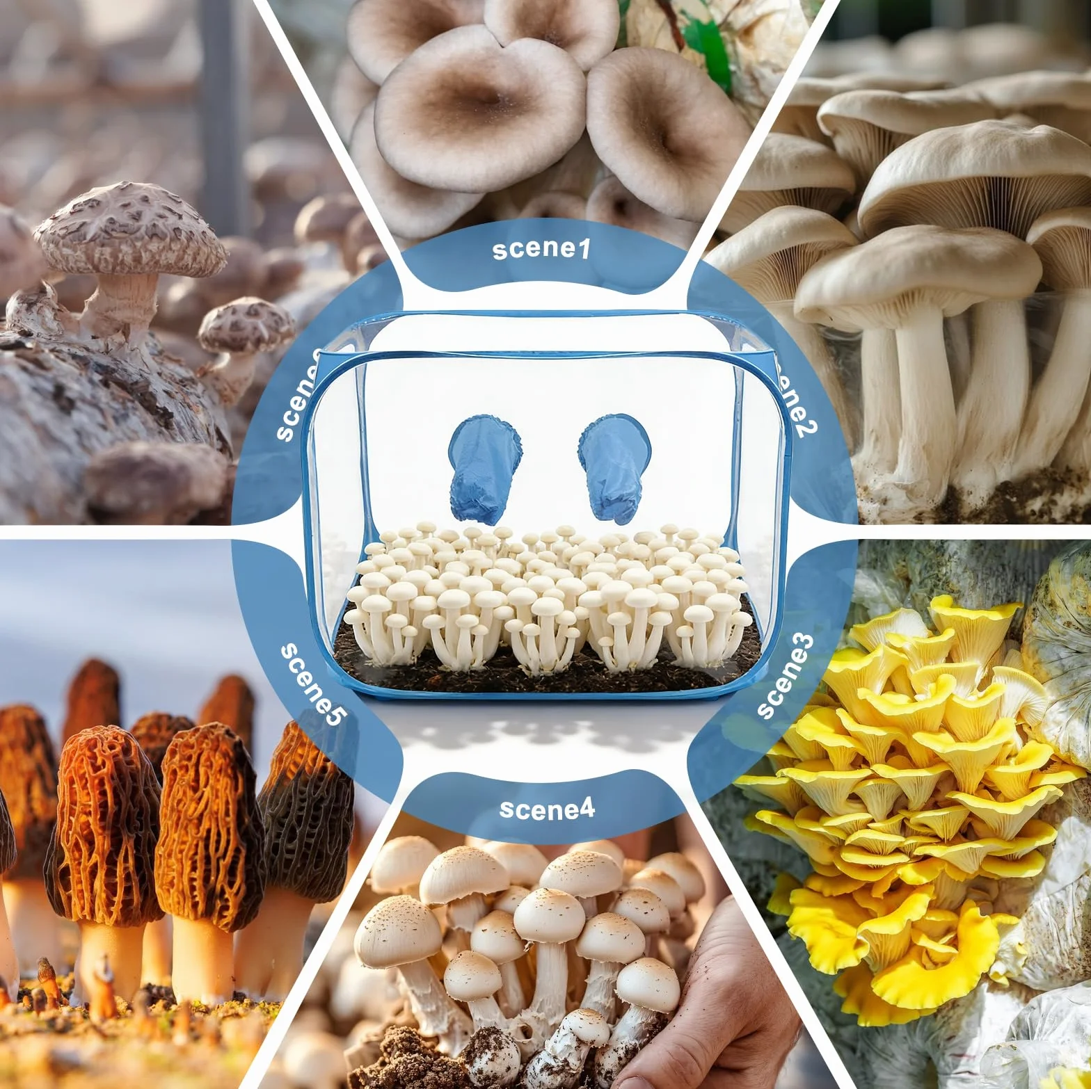 Conteneur de culture de champignons portable 60 x 60 x 90 cm pliable avec ouvertures pour les bras