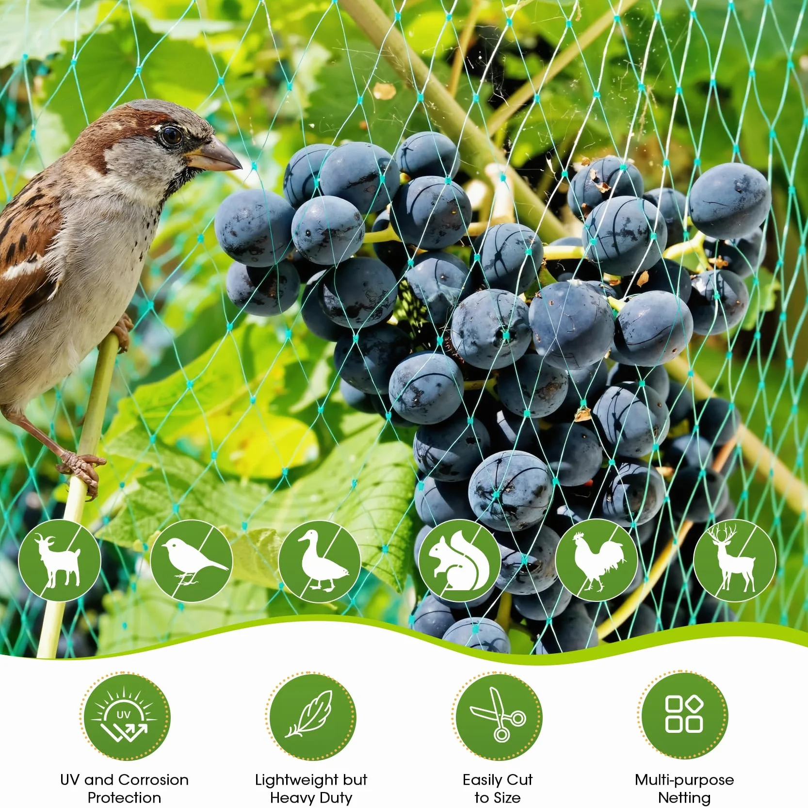 Filet Anti Oiseaux 4m×10m, Filets de Protection pour Jardin avec Mailles Fines, Vert