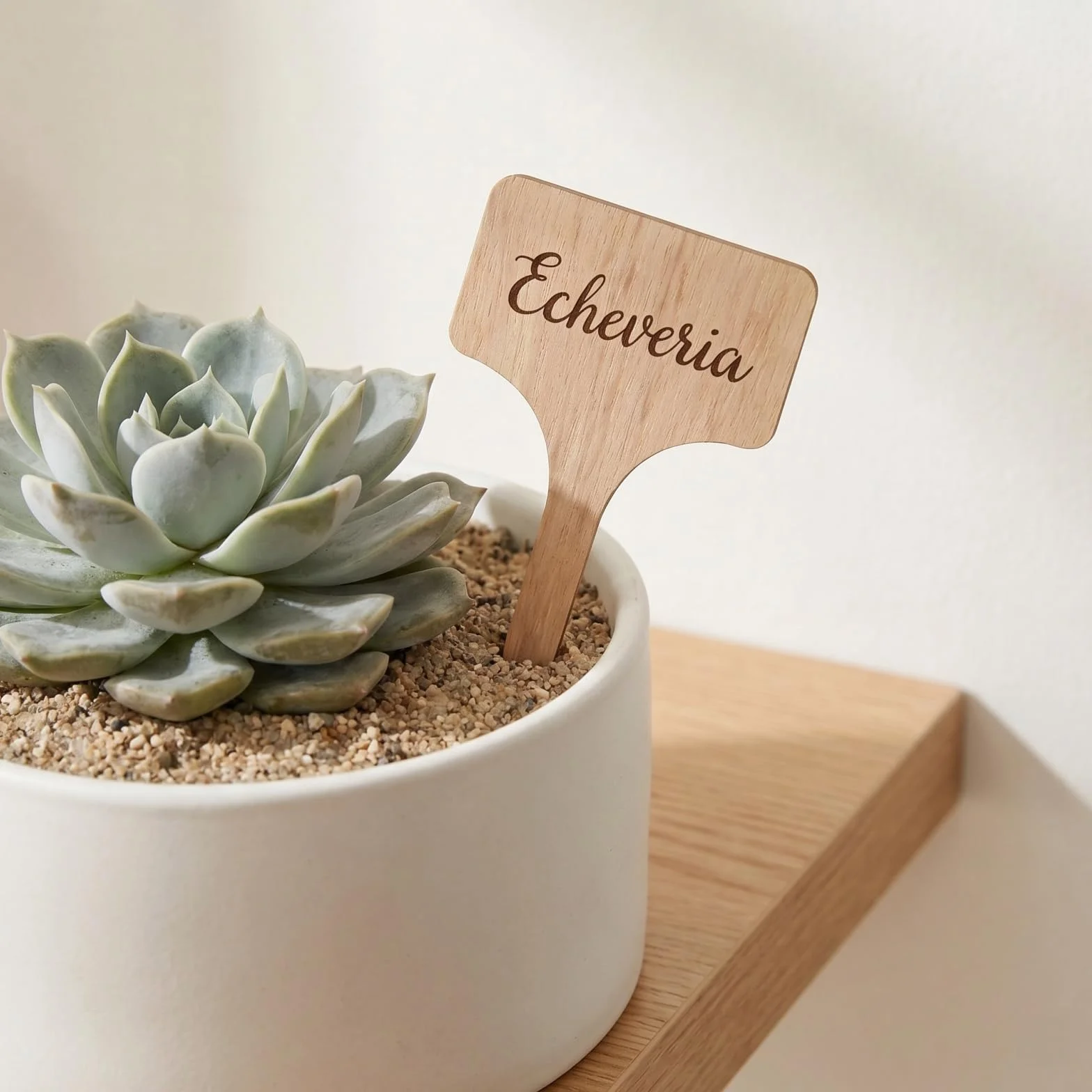 Étiquettes Jardin en Bambou 40 Pièces 6 x 10 cm, Marqueurs pour Plantes et Potager