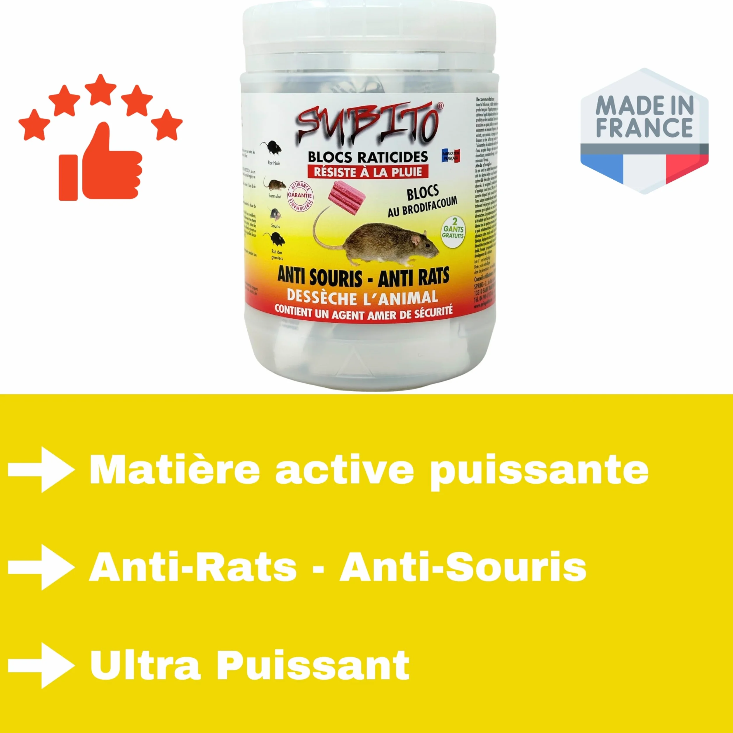 Raticide Appât Poison 300g - Élimination Rats et Souris - Intérieur Extérieur - Anti Rongeur Efficace