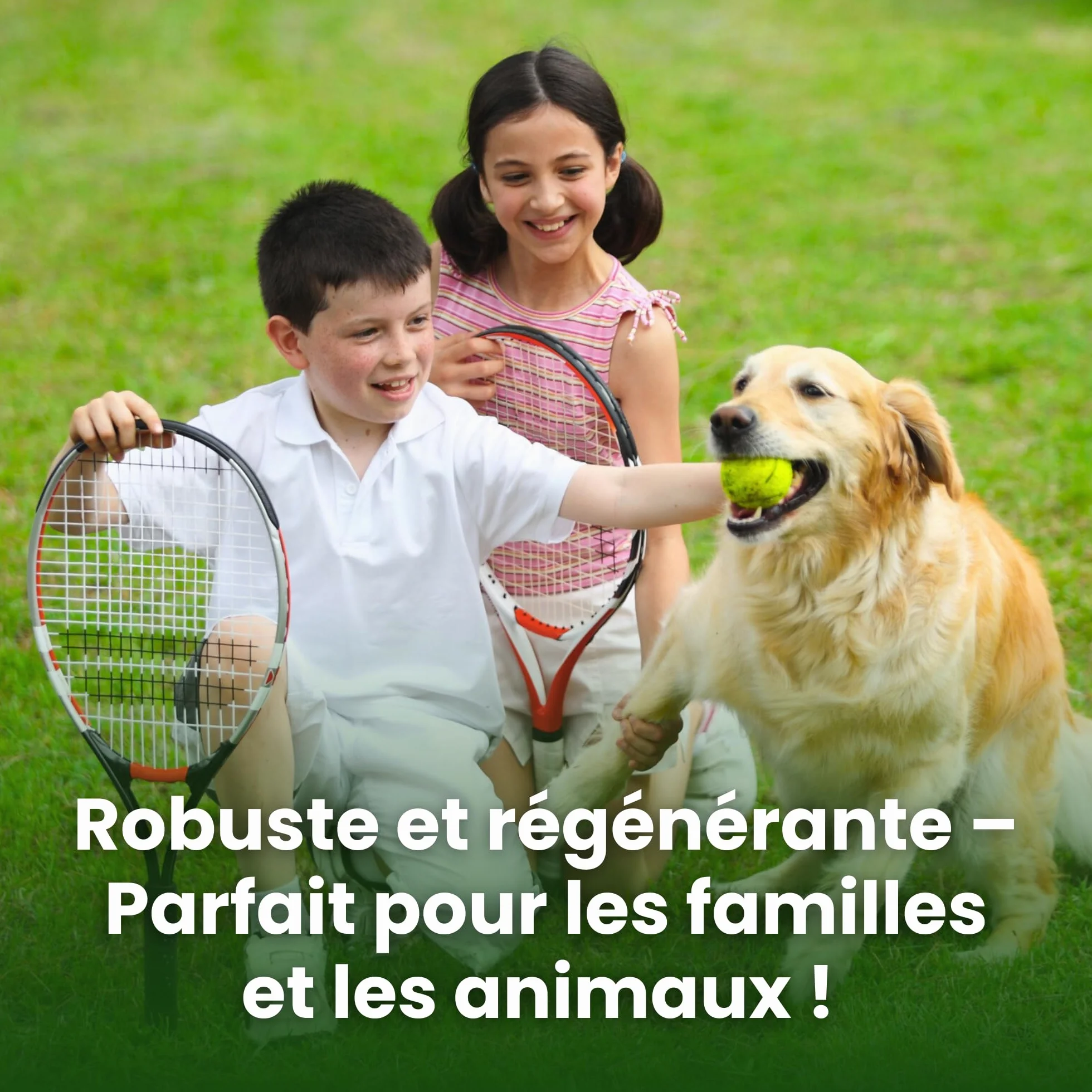 LERAVA CHAMPION Gazon à Semer 30 m² - Graines Pelouse Résistantes Sécheresse - Croissance Rapide Densité Maximale