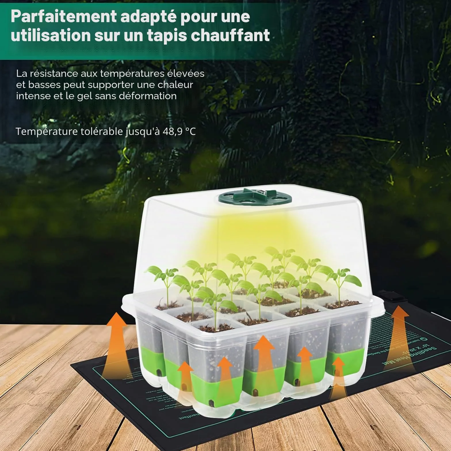 Mini serre avec lumière complète pour plantes, kit de culture d'intérieur