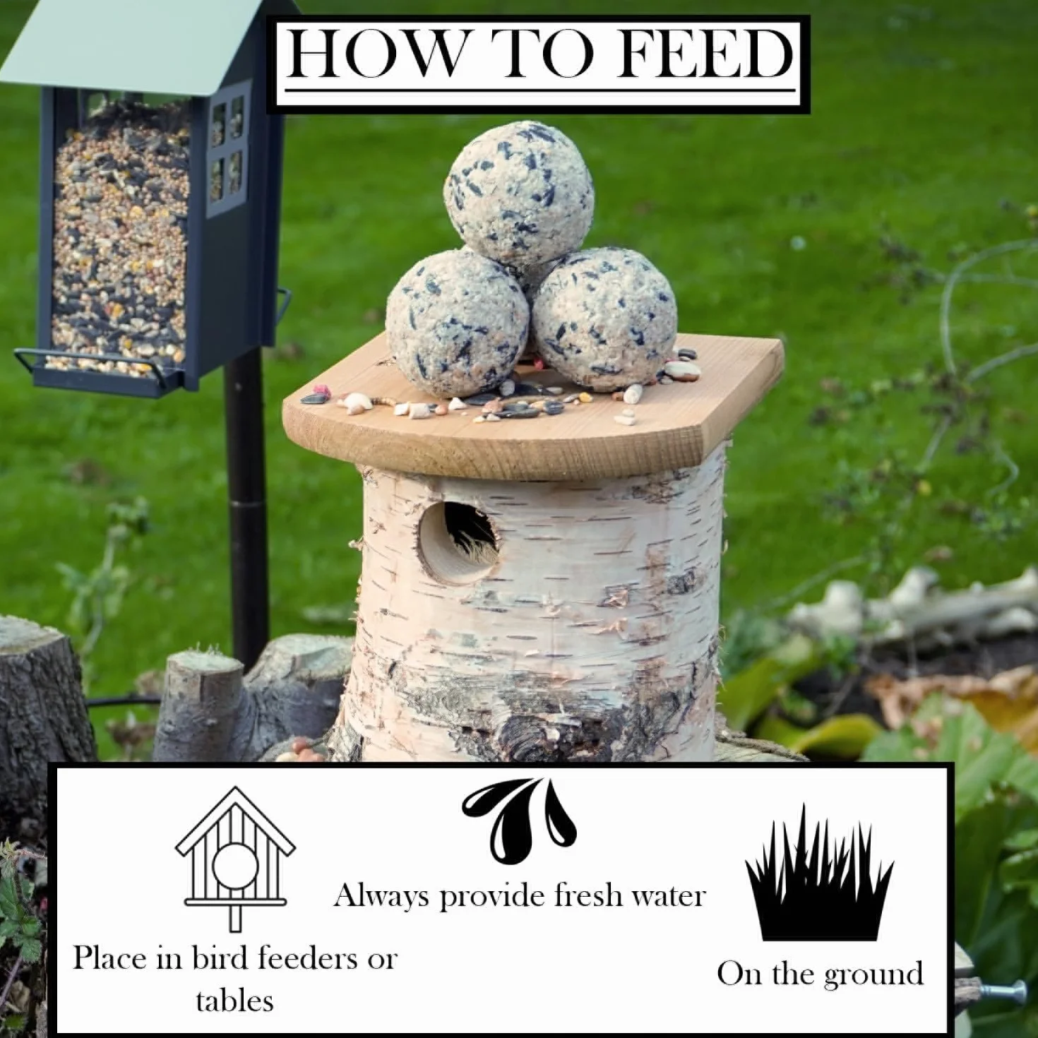 Lot de 160 Boules de Graisse pour Oiseaux Sauvages, 80 g, Riche en Énergie
