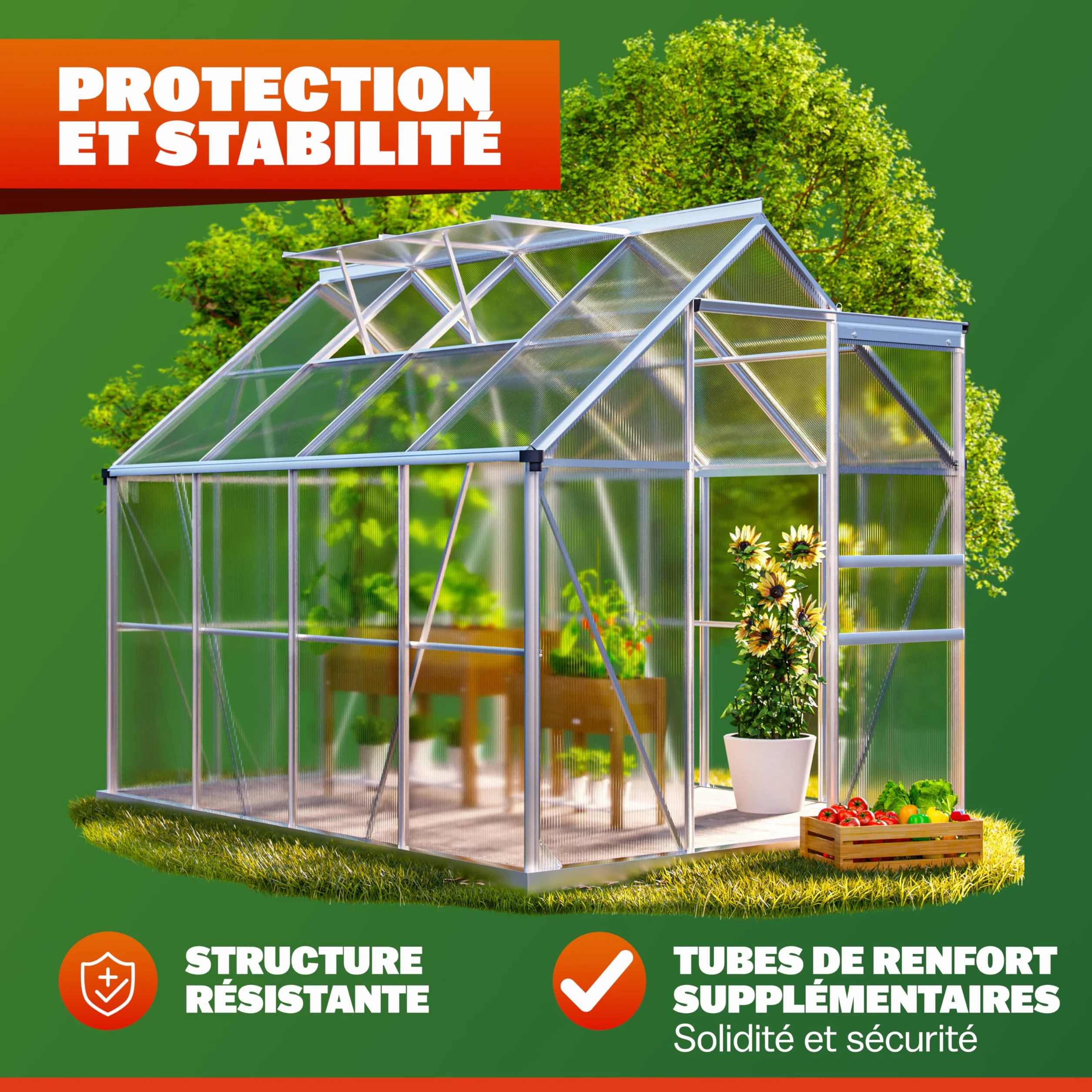 Serre de Jardin Aluminium Polycarbonate 4,8m² 250x190cm 2 Lucarnes Structure Stable