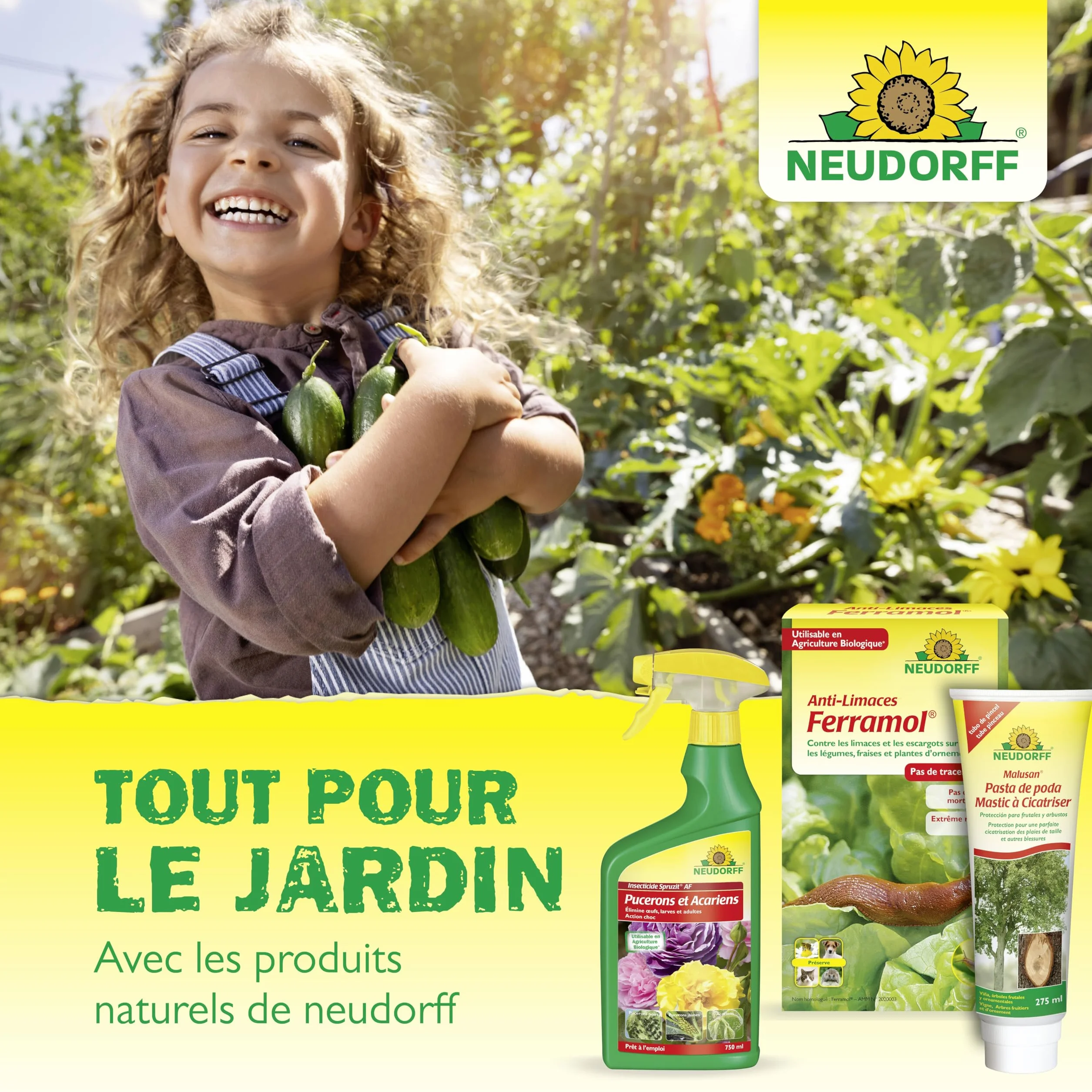 Neudorff Insecticide Spruzit Anti cochenille AF Spray 750 ml – Traite les cochenilles et pucerons sur plantes ornementales et fleurs