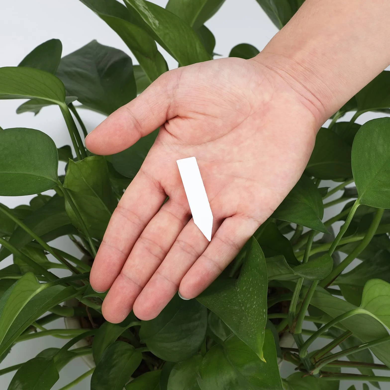 KINGLAKE 200 Pièces Mini Étiquette Pour Semis, 5x1cm Plastique Blanc