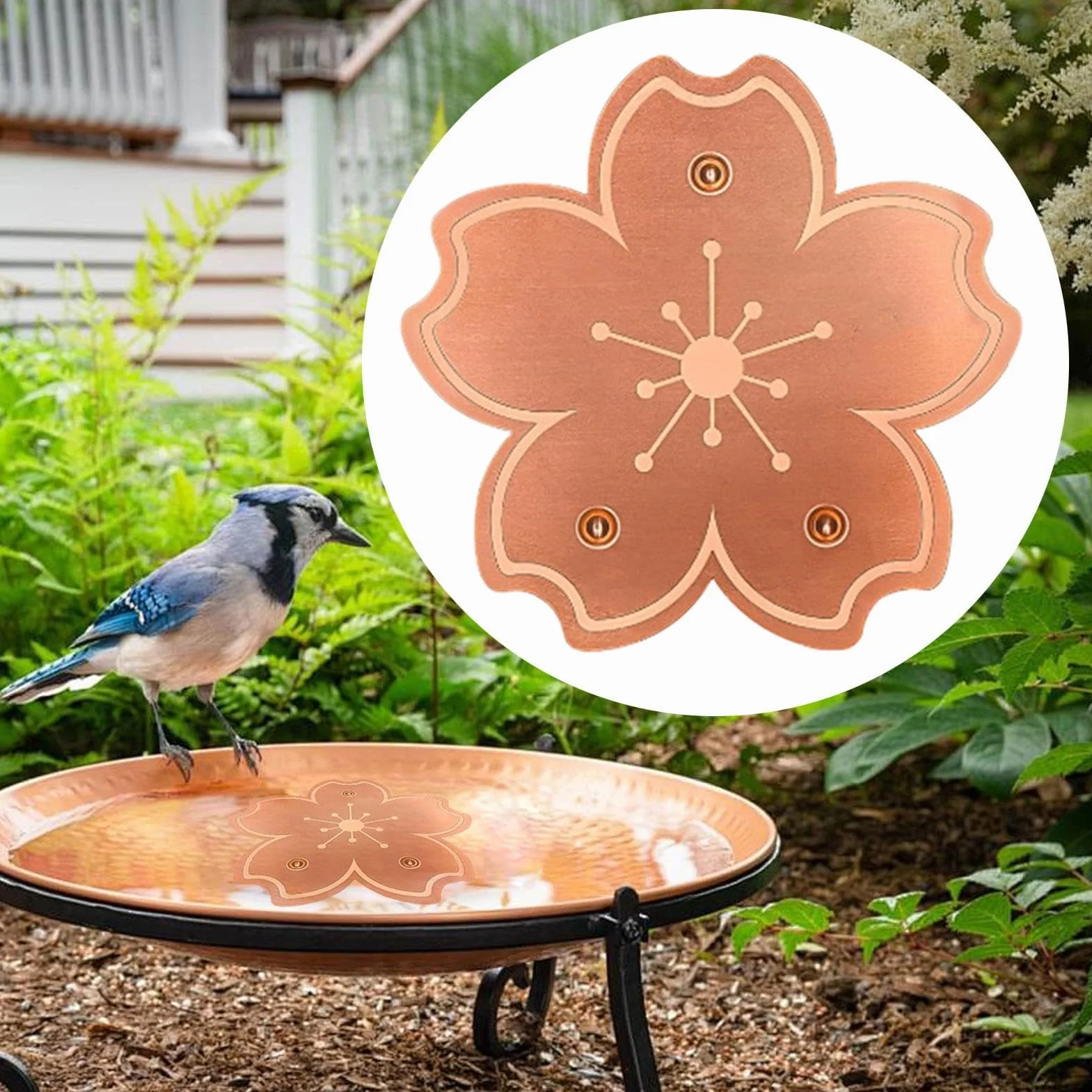 Disque Cuivre Bain Oiseaux Plaques Bronze Bassin Purificateur Eau Naturel Anti Algues Résistant Rouille Support Stable Trois Points