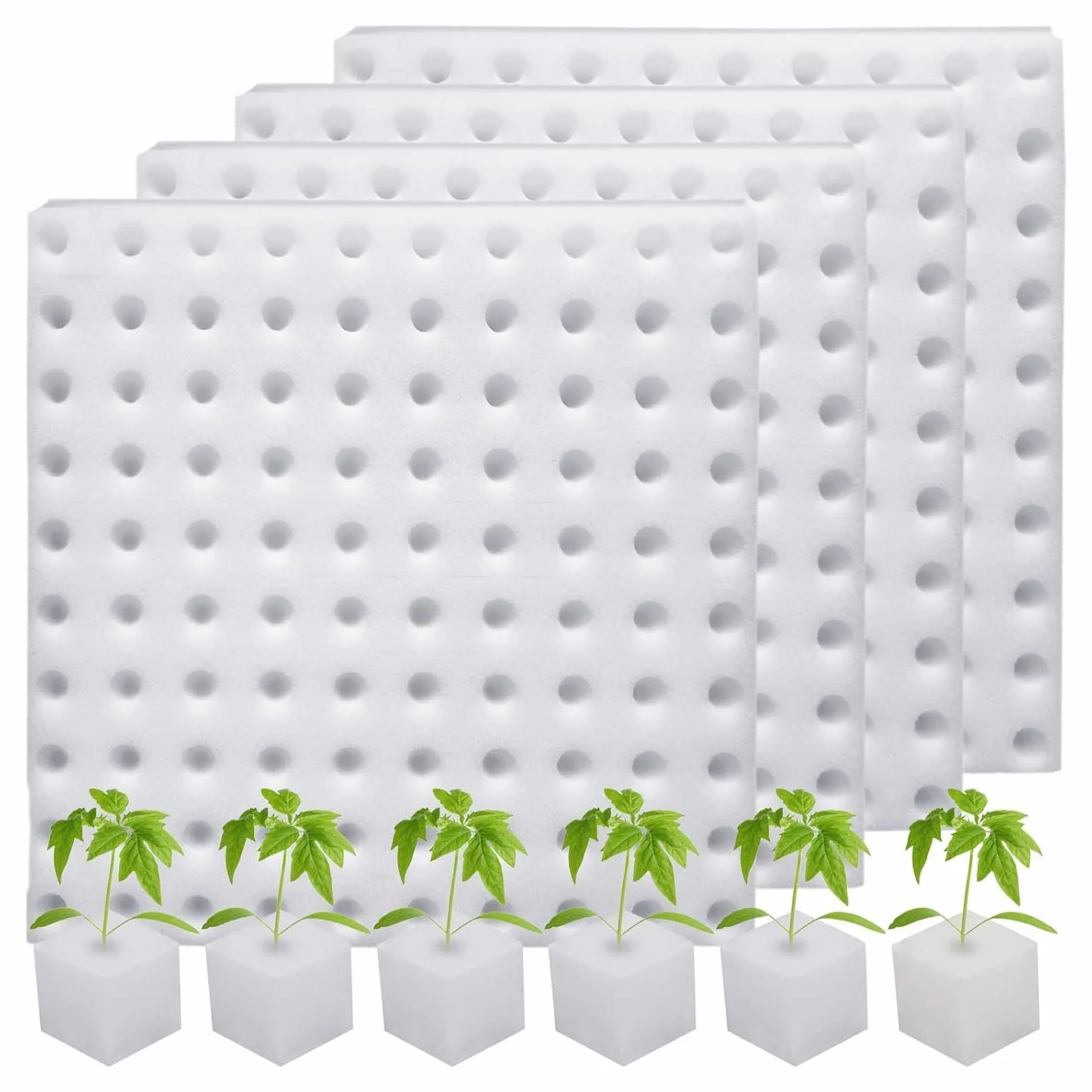 400 cubes en mousse hydroponiques pour pots en filet aéroponique serre