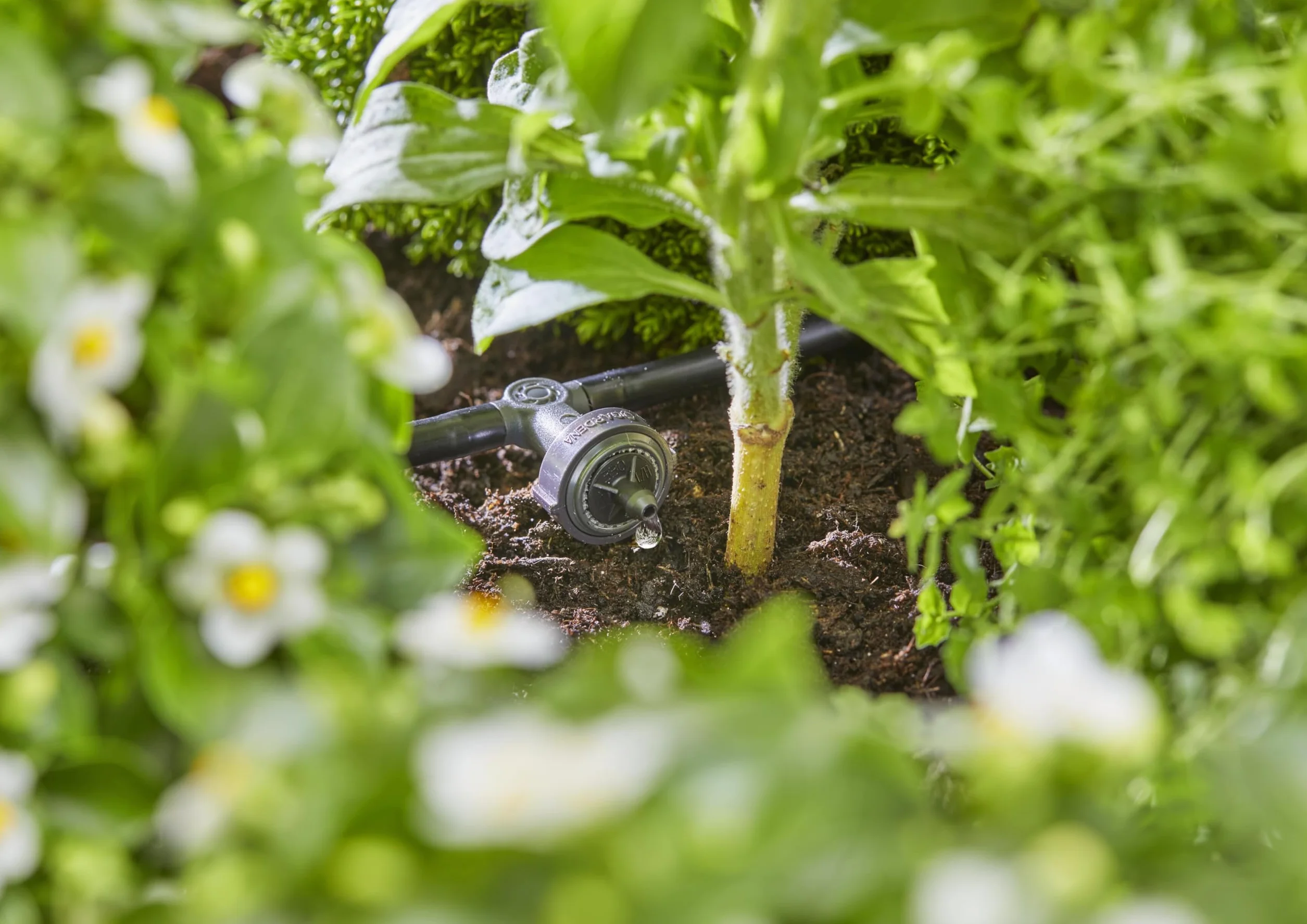 Gardena goutteur en ligne micro drip régulation de pression système arrosage auto 13312-20