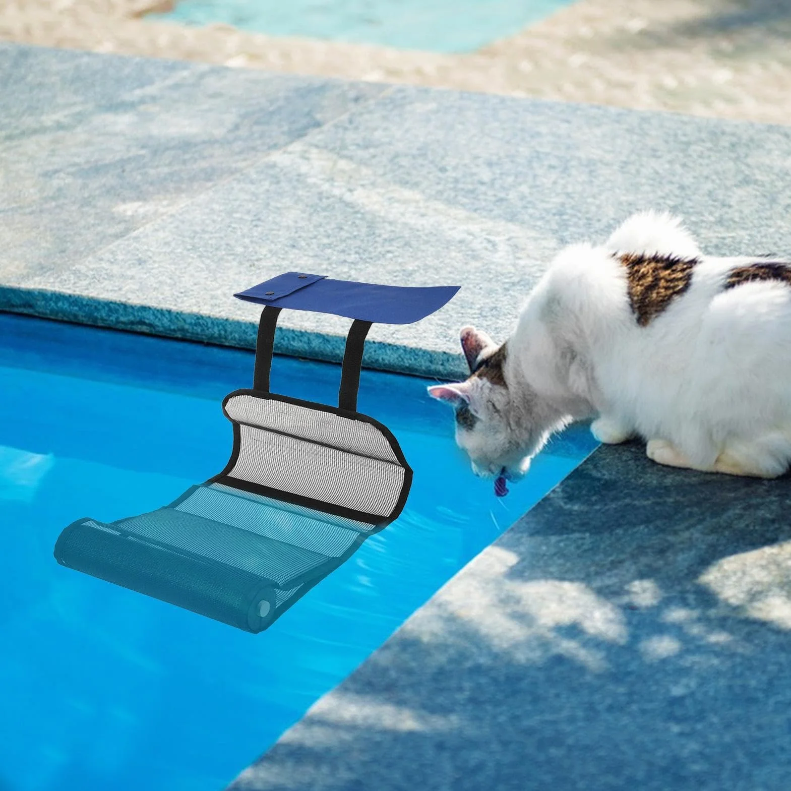 Rampe Animaux Piscine Tissu Oxford 2 Pack, Rampe De Sauvetage pour Chats Chiots