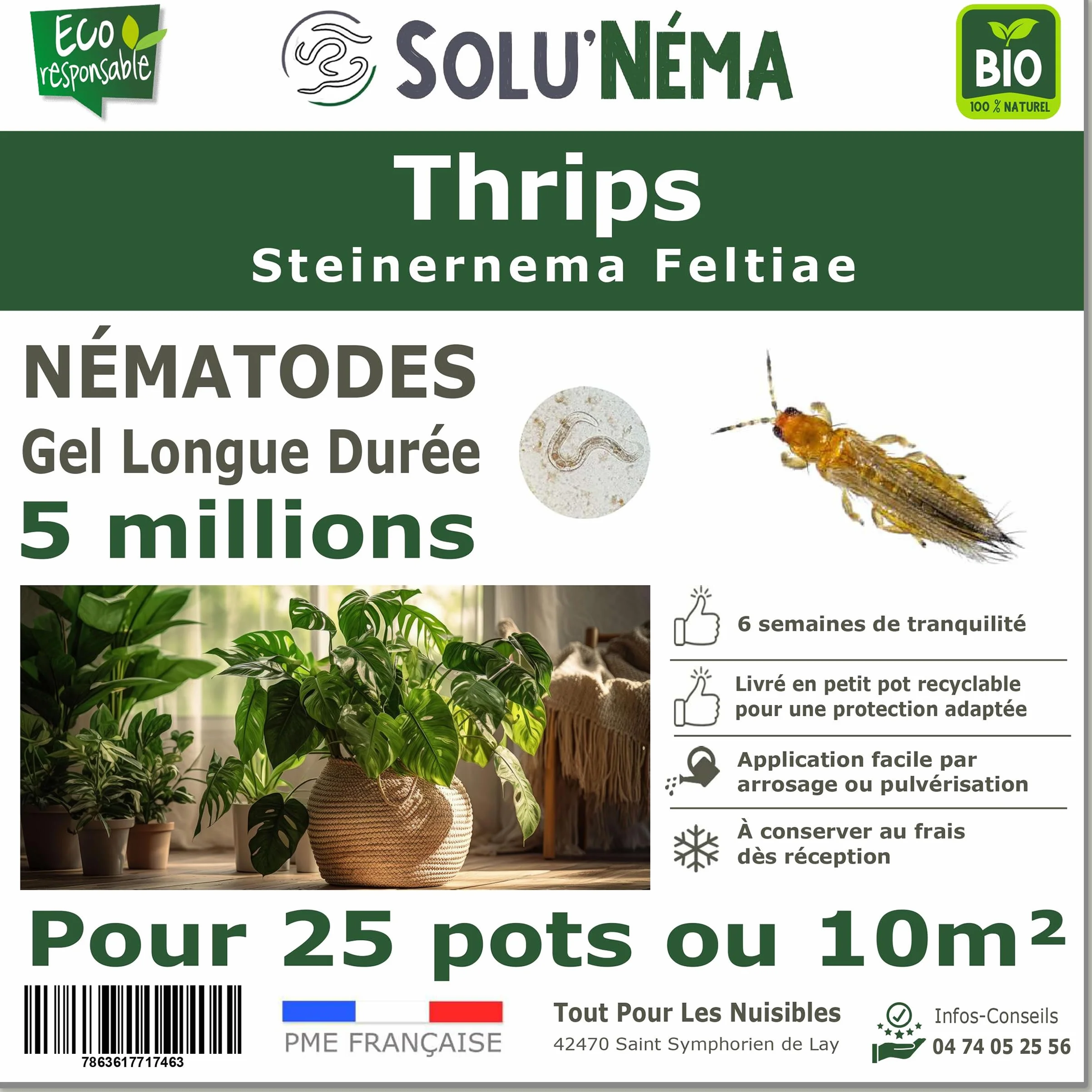 SOLUNEMA Nématodes Contre les Thrips 5 Millions Longue Durée