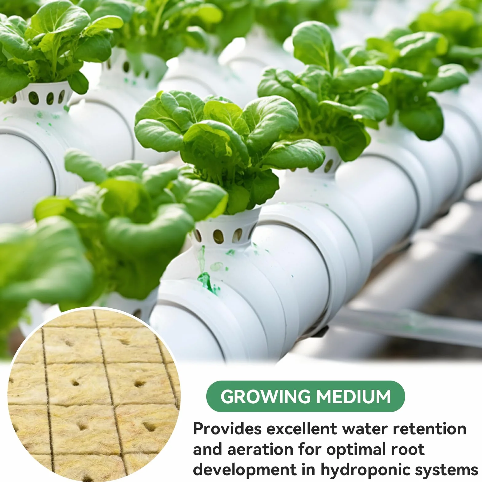 Cubes de Laine de Roche Respirant 2,5x2,5x2,5 cm 100 Pièces pour Hydroponie Boutures Plantation