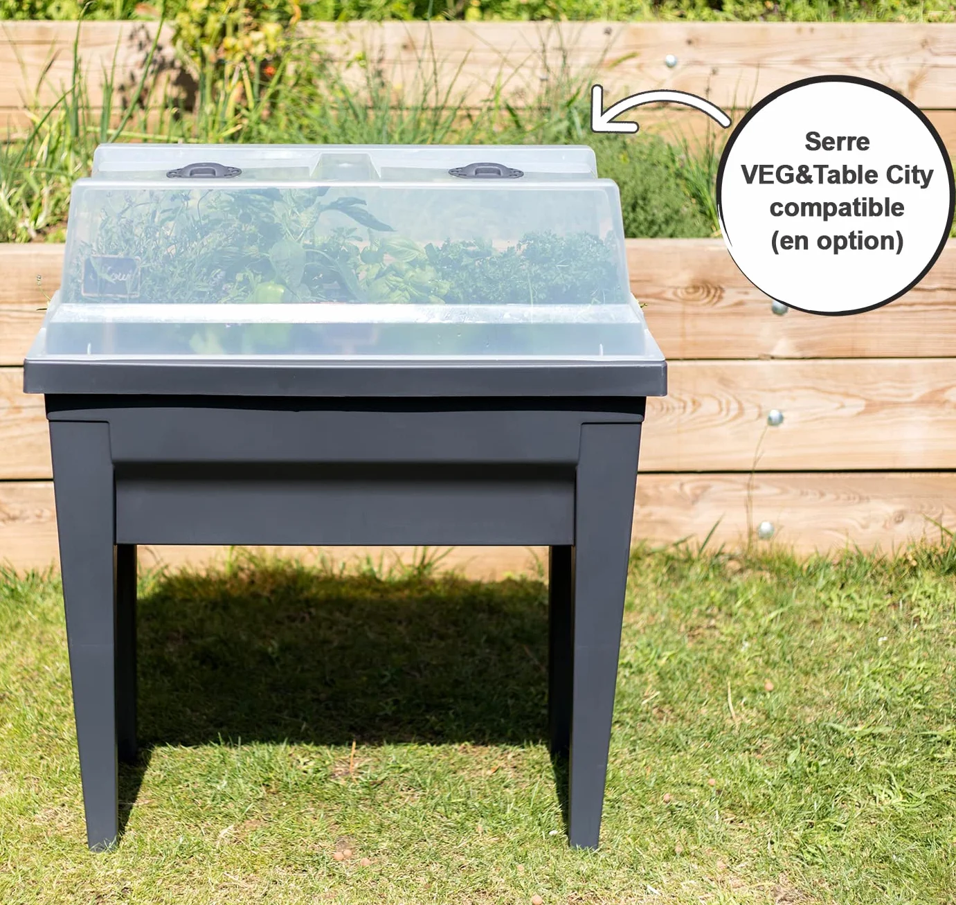 Espace Potager Veg&Table City 57 L Zone Rétention d'Eau 76 x 38,5 x 68 cm Gris anthracite