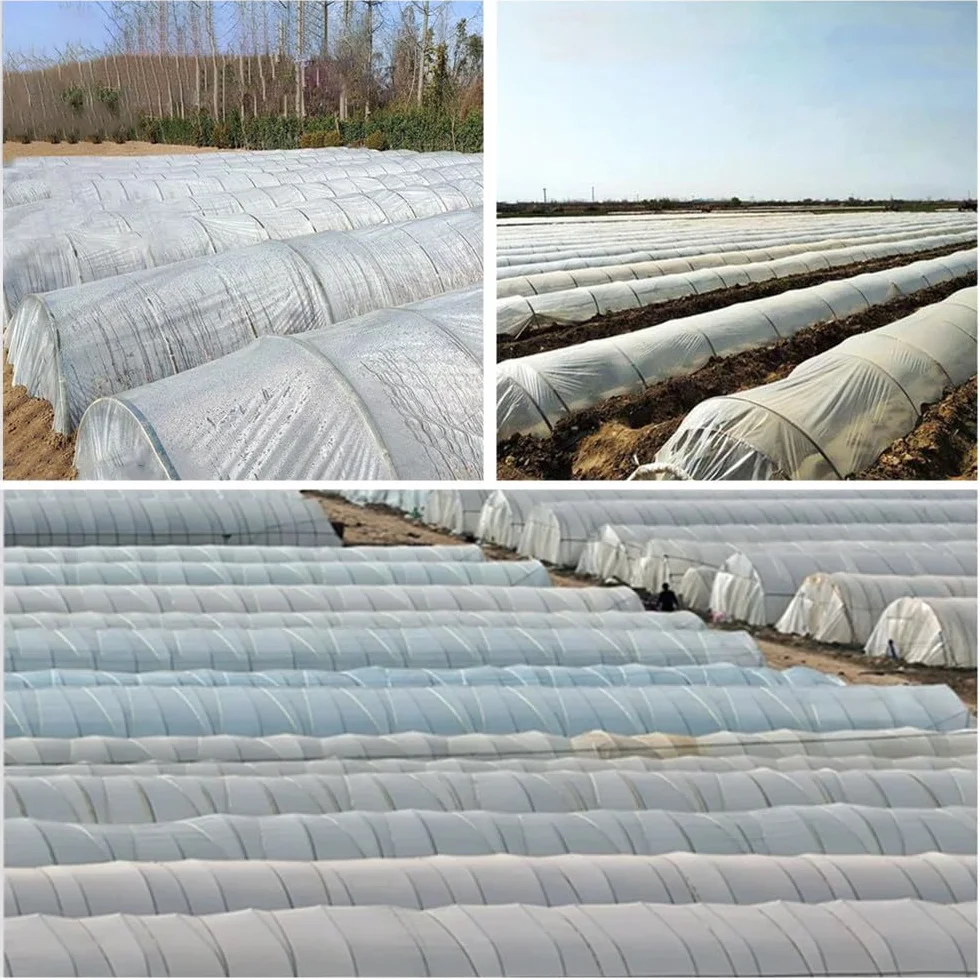 Bâche de protection pour serre 2 x 6 m transparente pour plantes