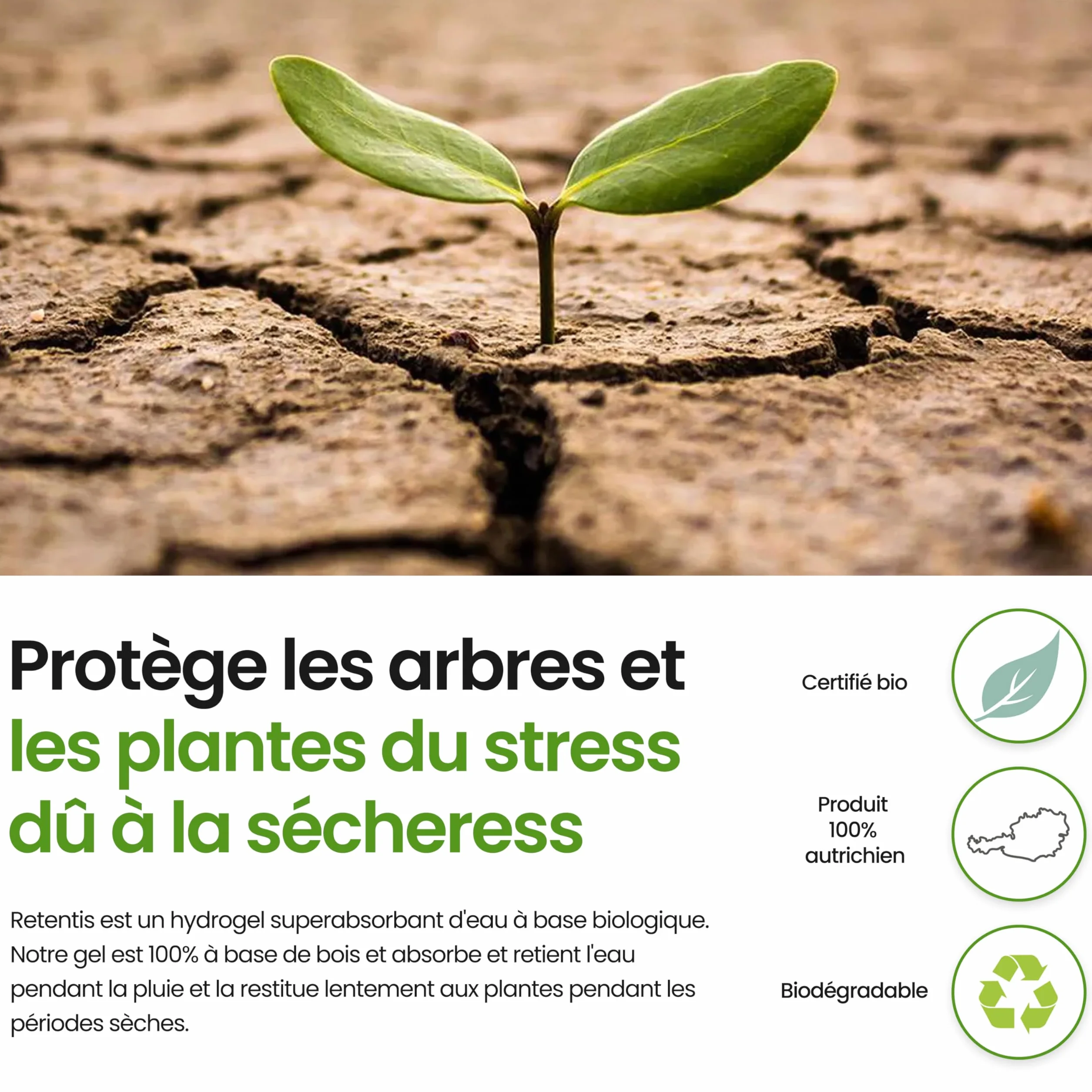 Hydrogel écologique en bois 750g pour 40L terre stockage d'eau anti-sécheresse