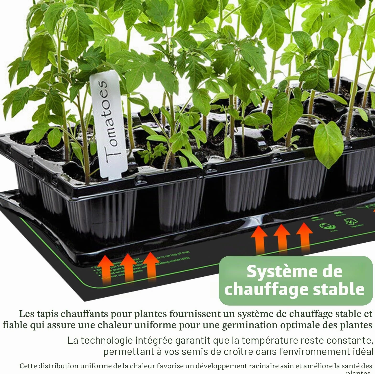 Tapis chauffant pour plantes 25,5 x 53,5 cm semis serre animaux reptiles