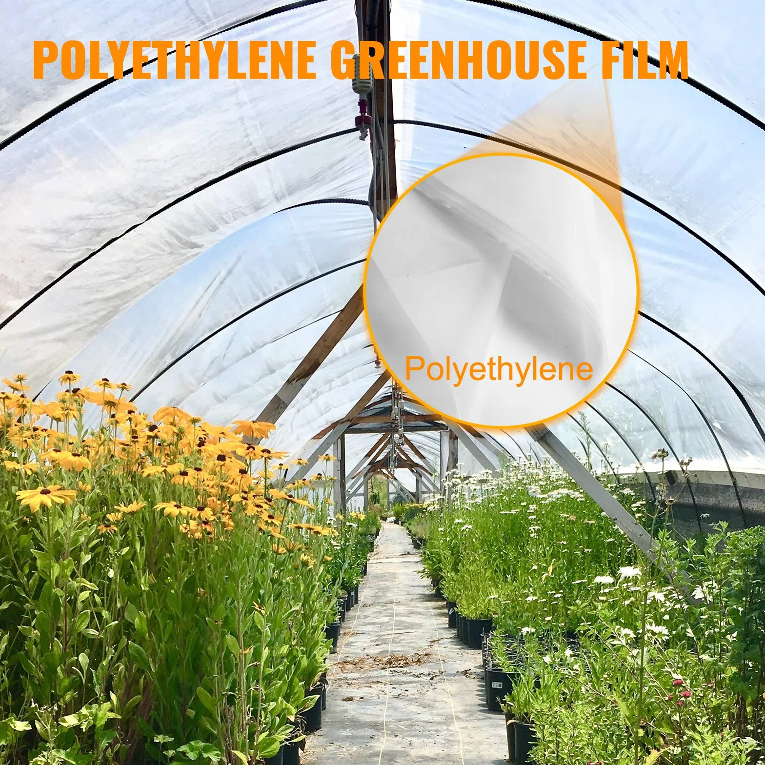 VEVOR Film à Effet de Serre 6 x 8,5 m Polyéthylène 0,15 mm Housse de Protection