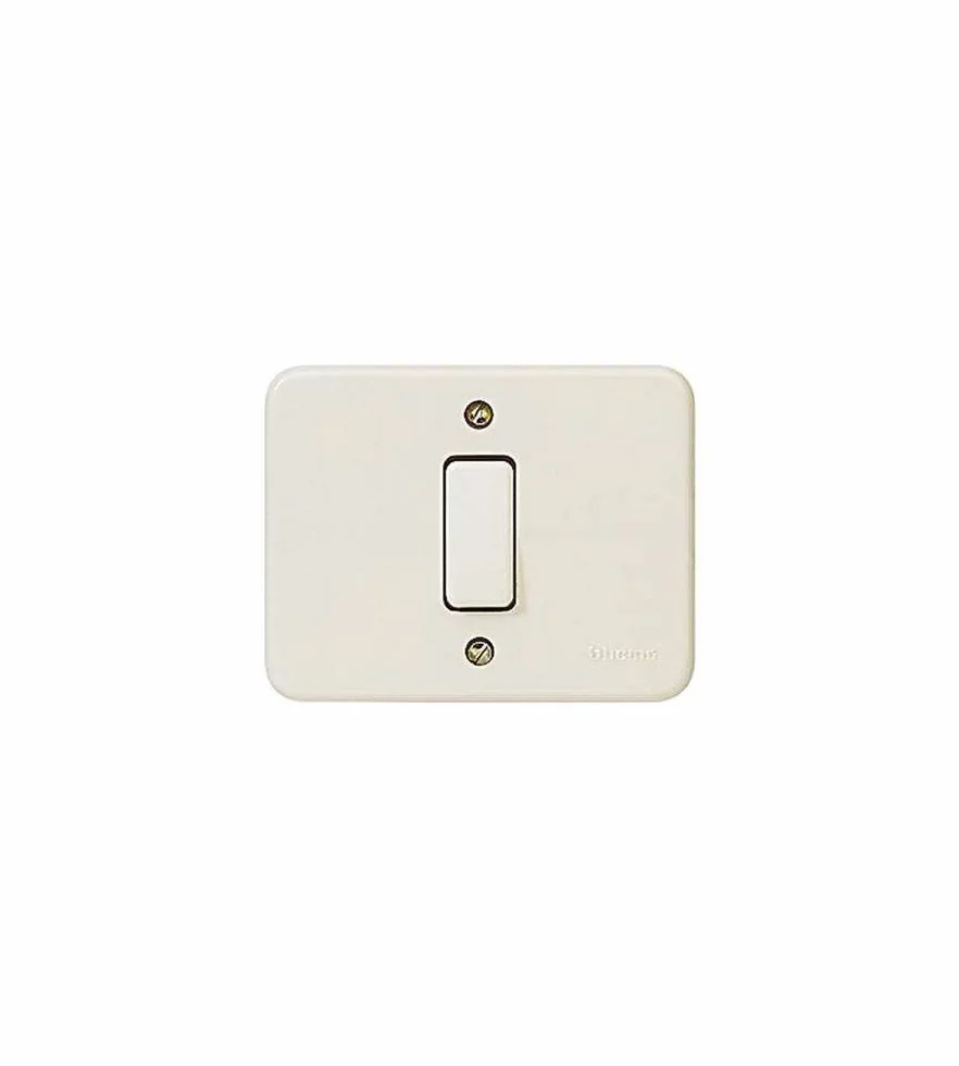 Bticino 1101 N Serie Domino Interrupteur Unipolaire 6 a Ivoire