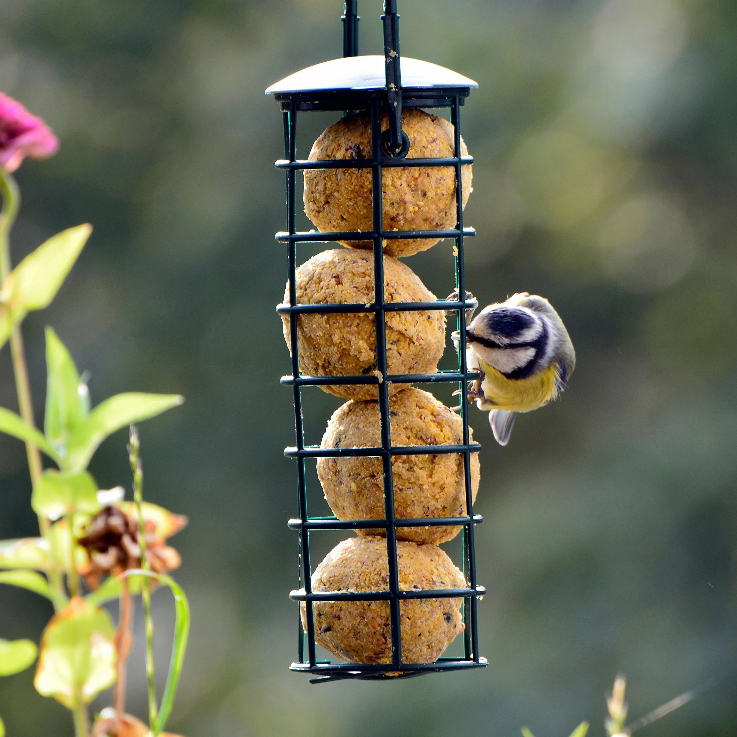 Mangeoire pour oiseaux Dobar 24081 avec quatre boules à mésanges, rechargeable, noire, plastique