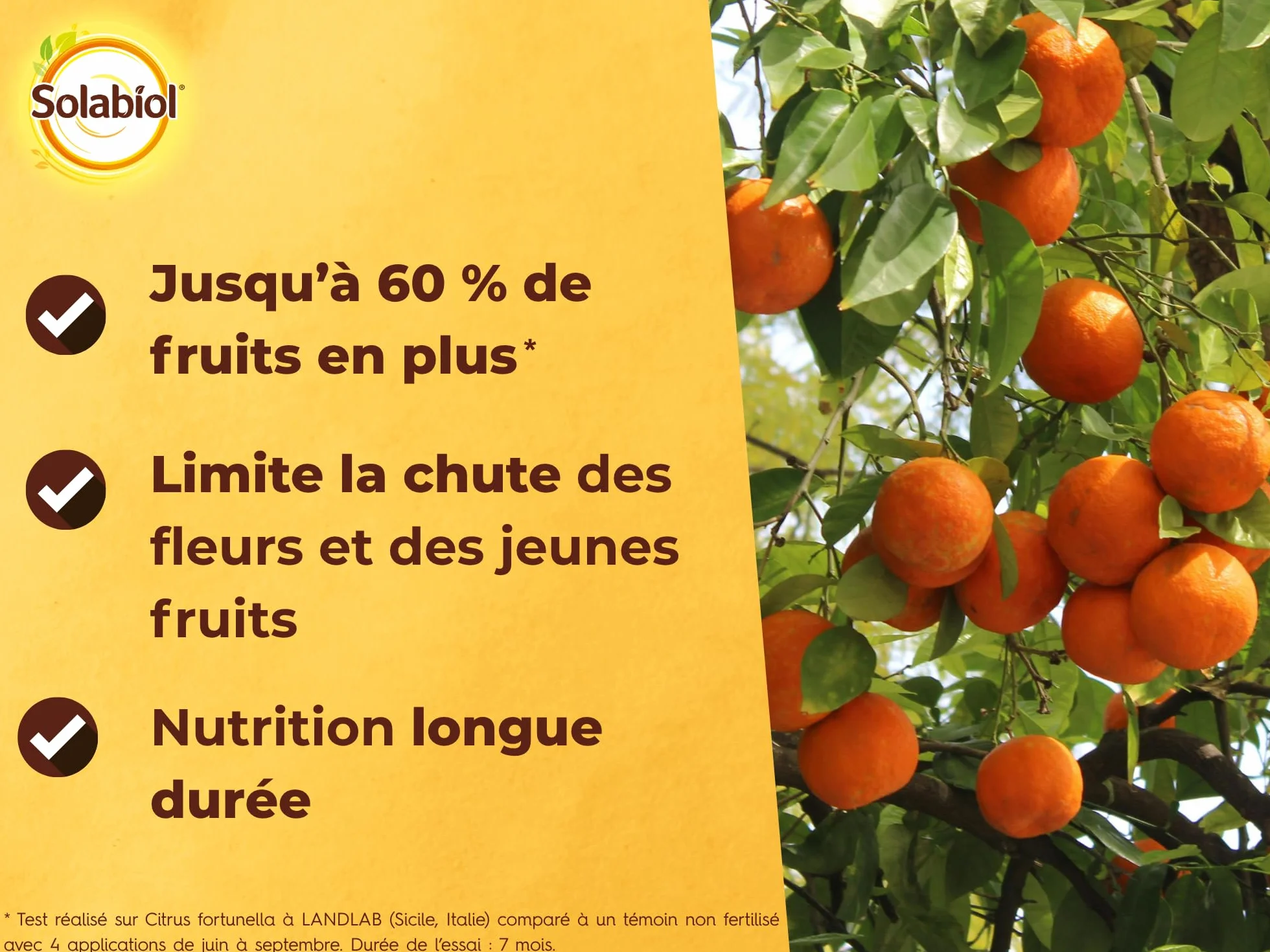 SOLABIOL Engrais Agrumes 750g - Favorise Fructification - Nutrition Longue Durée - Utilisable en Agriculture Biologique