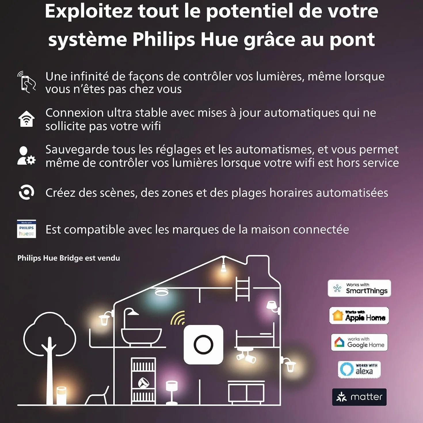 Philips Hue, capteur de Mouvement extérieur, Accessoire d'éclairage Intelligent pour Le contrôle de la lumière extérieure, sans Fil, Noir