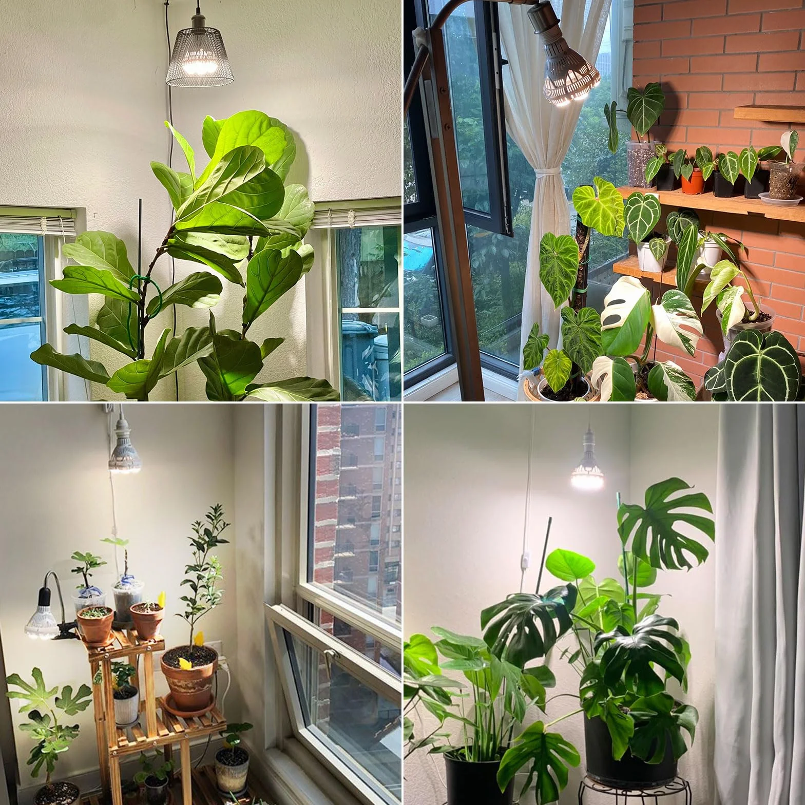 SANSI Lampe Horticole LED Dimmable E27 40W Spectre Complet Minuterie 4/8/12H PPF 67umol/s