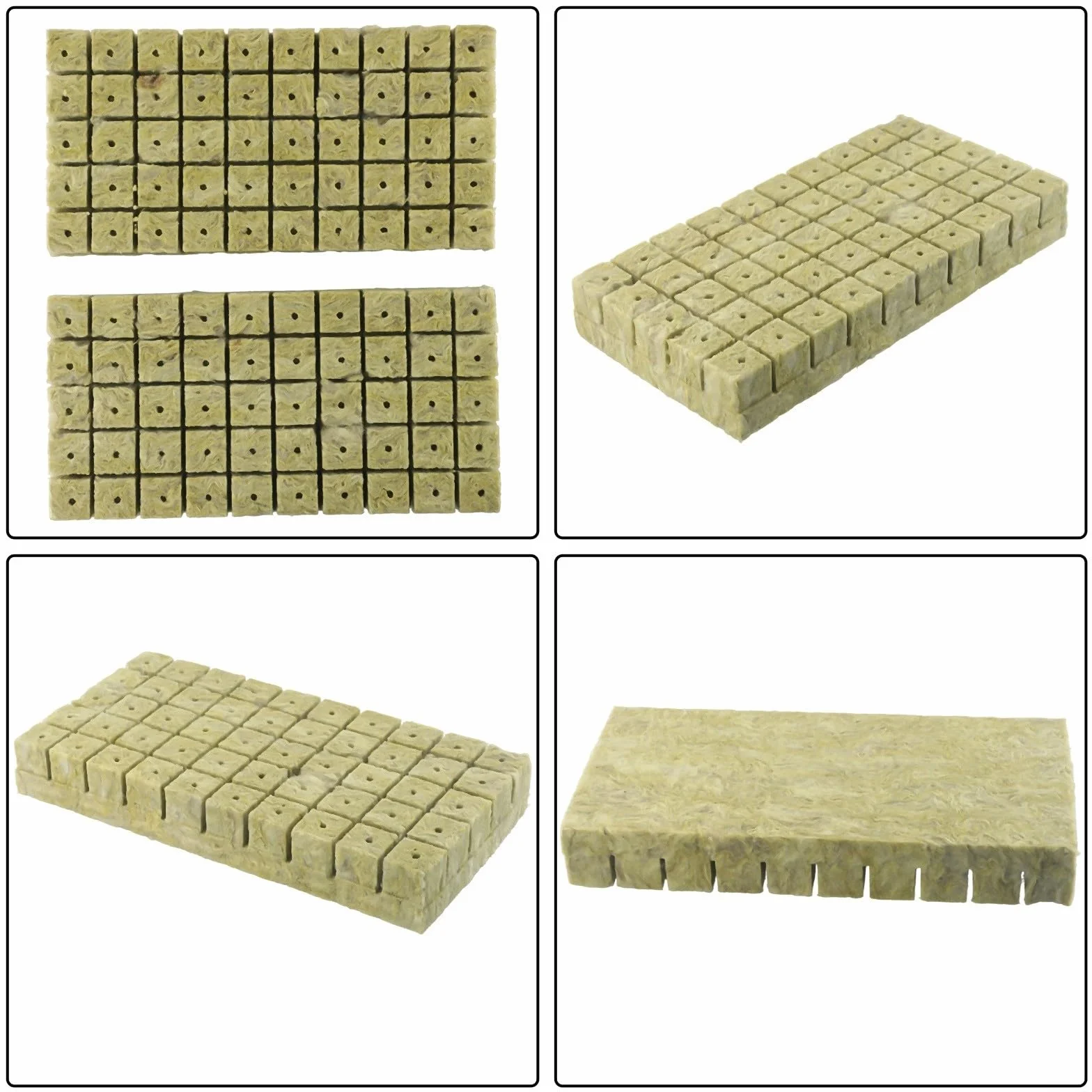 Cubes en laine de roche 25 x 25 x 40 mm, lot de 100 pour culture de plantes