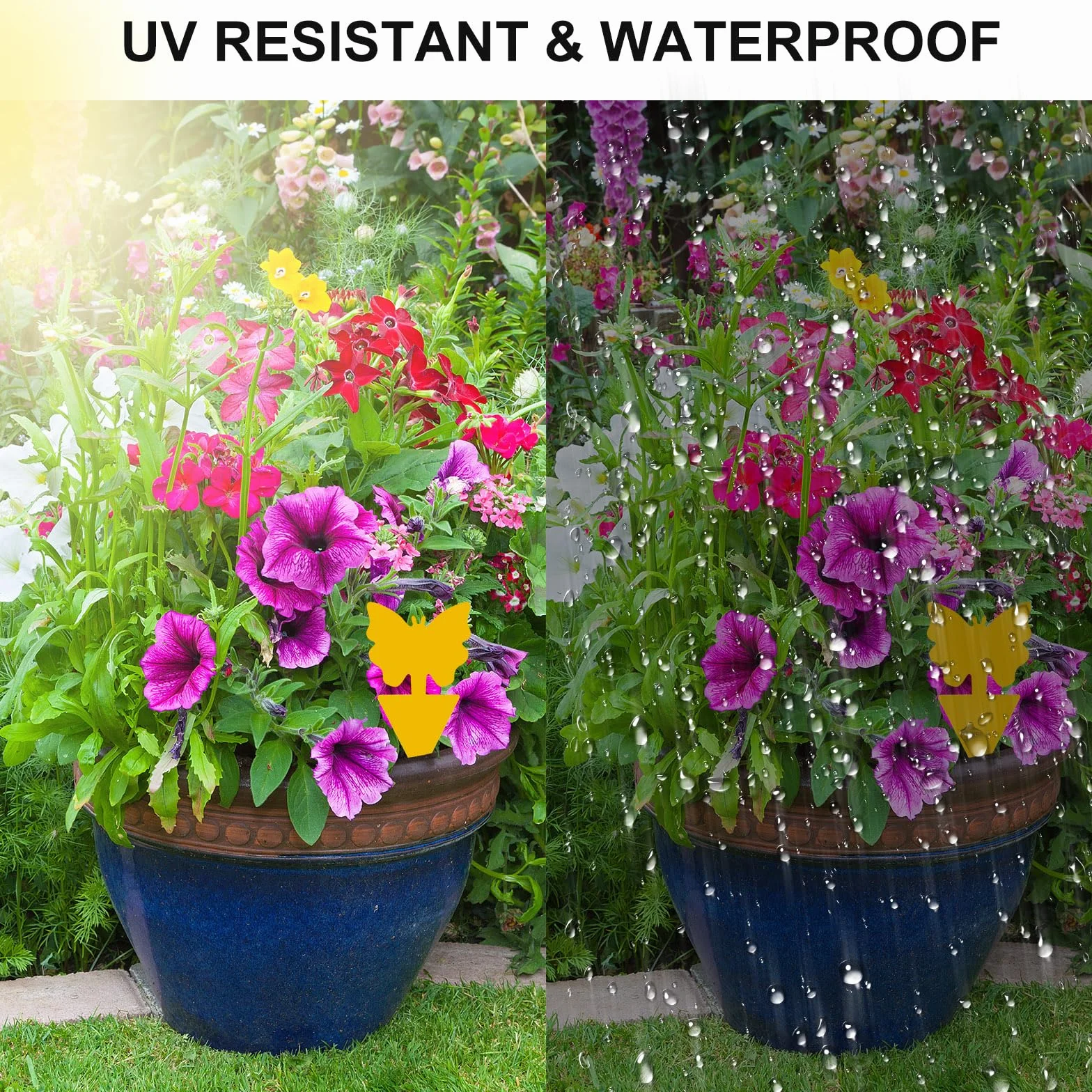 50 Pièges Anti Moucherons Intérieur, Attrape Moucheron Plantes, Pièges à Insectes Jaune Collants
